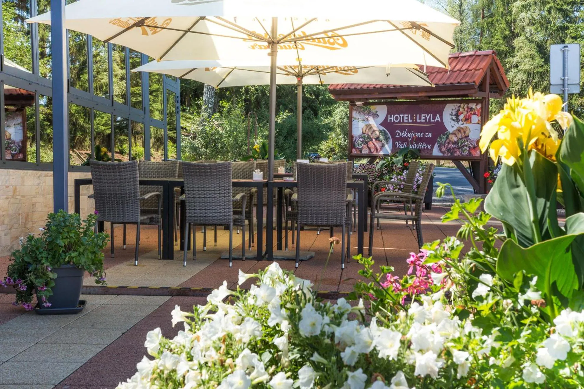 Restaurant/places to eat in Hotel Leyla