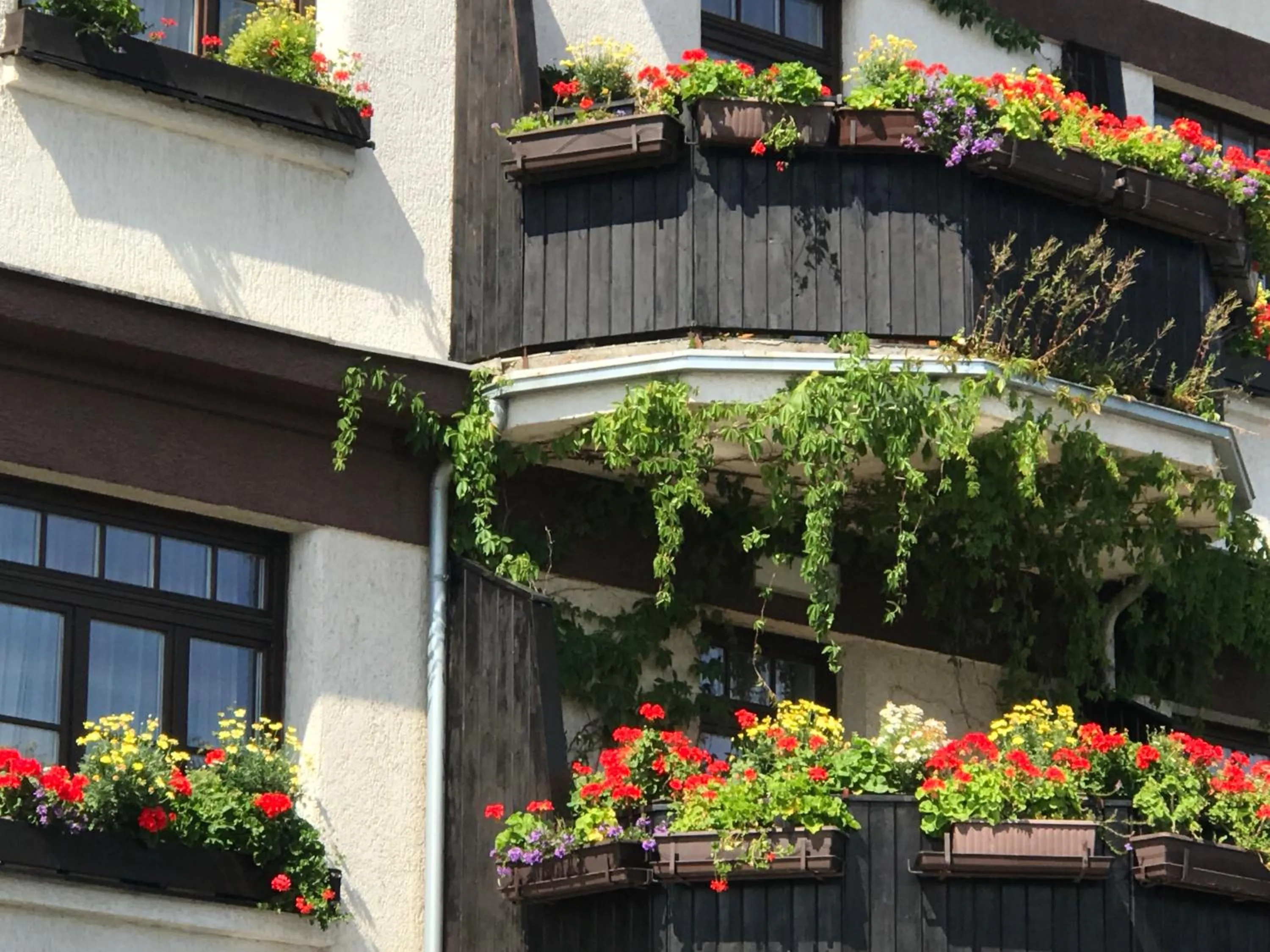 Facade/entrance in Antik Hotel Sofia