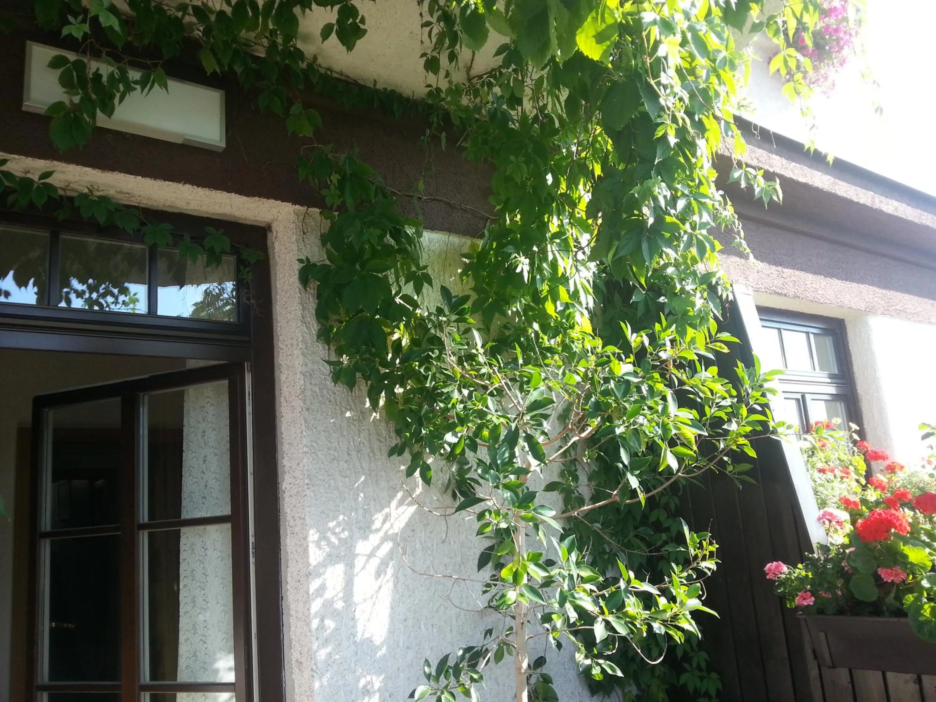 Balcony/Terrace in Antik Hotel Sofia