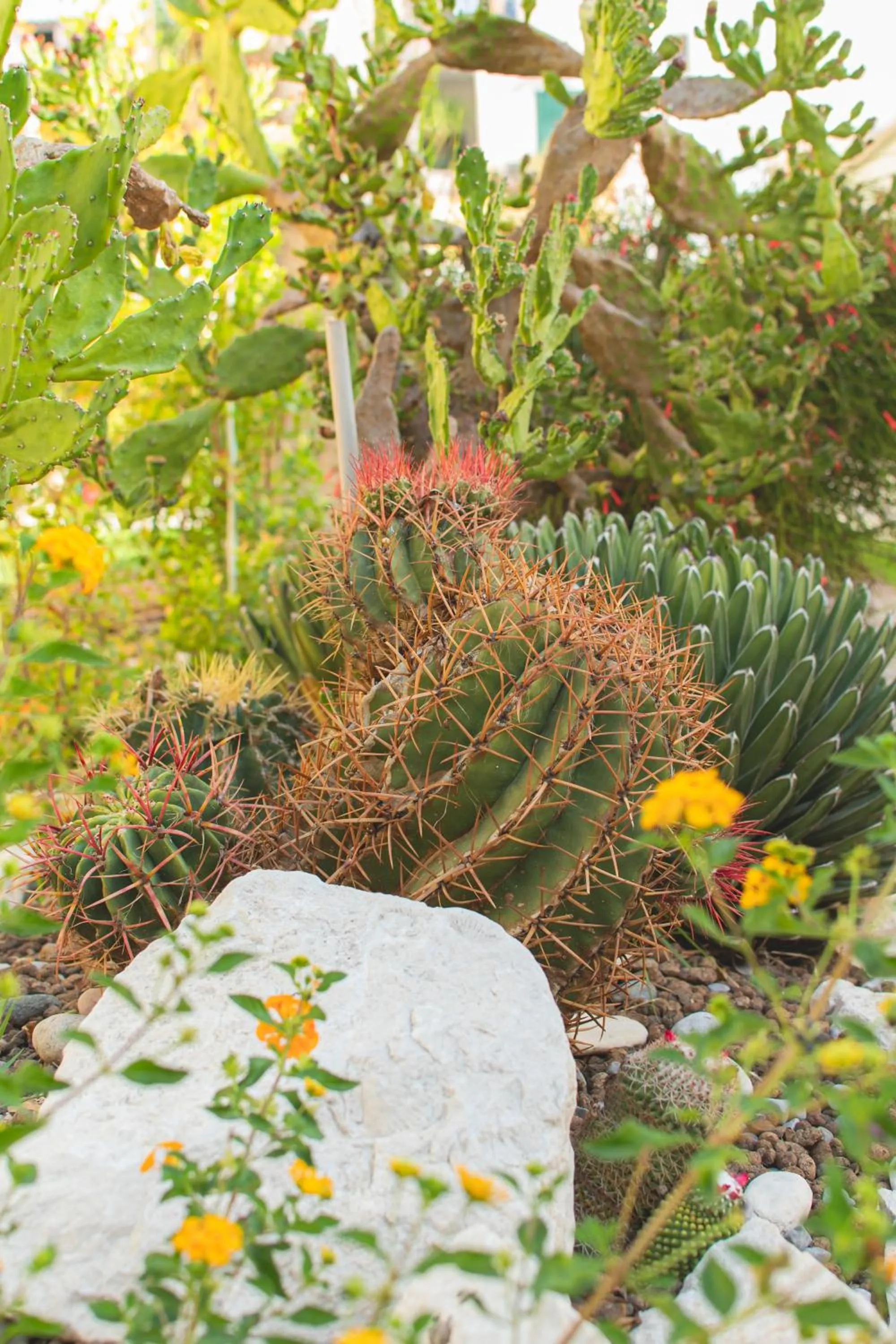 Garden in Marina 10 Design Hotel & SPA