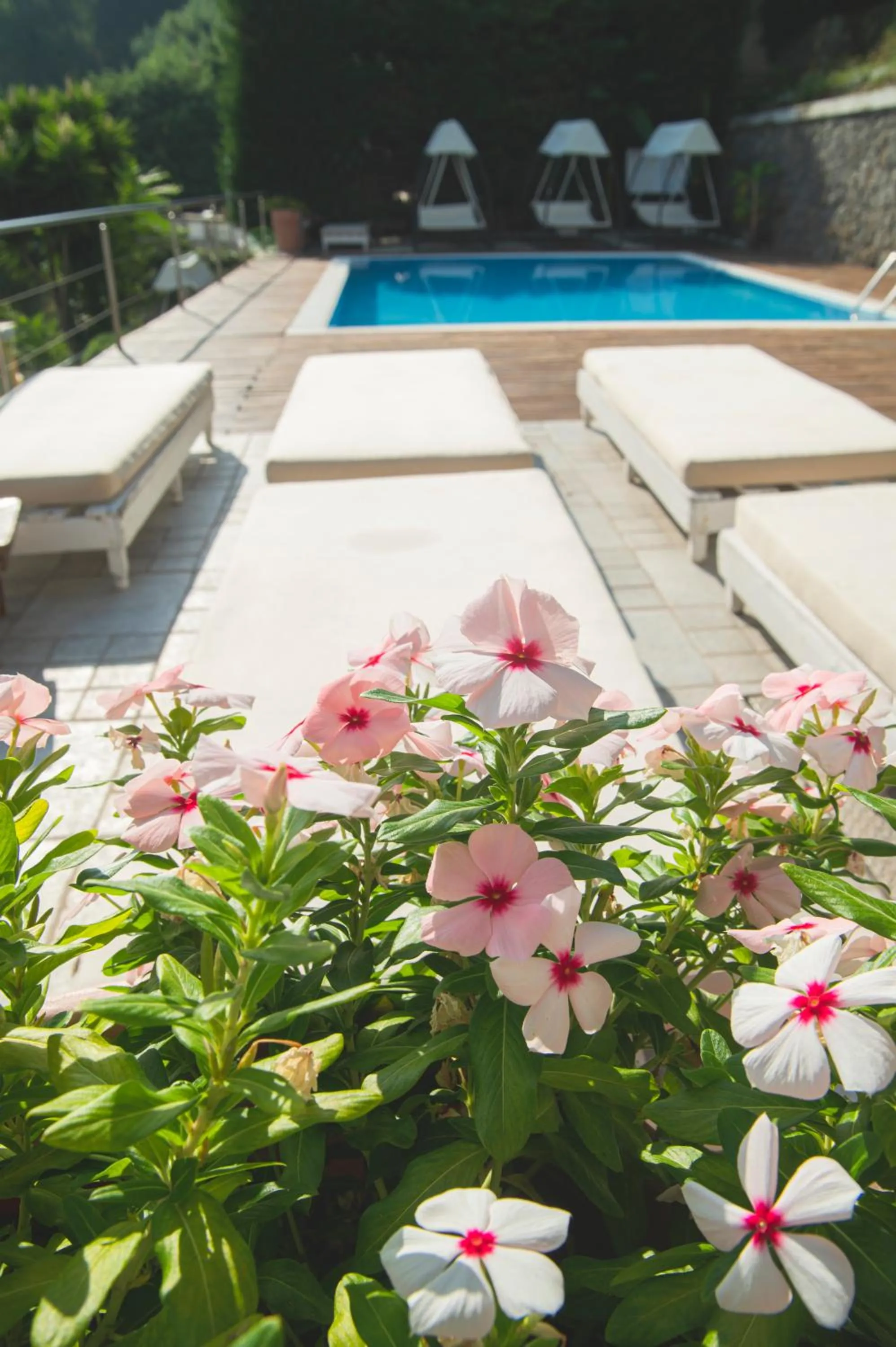 Garden in Marina 10 Design Hotel & SPA