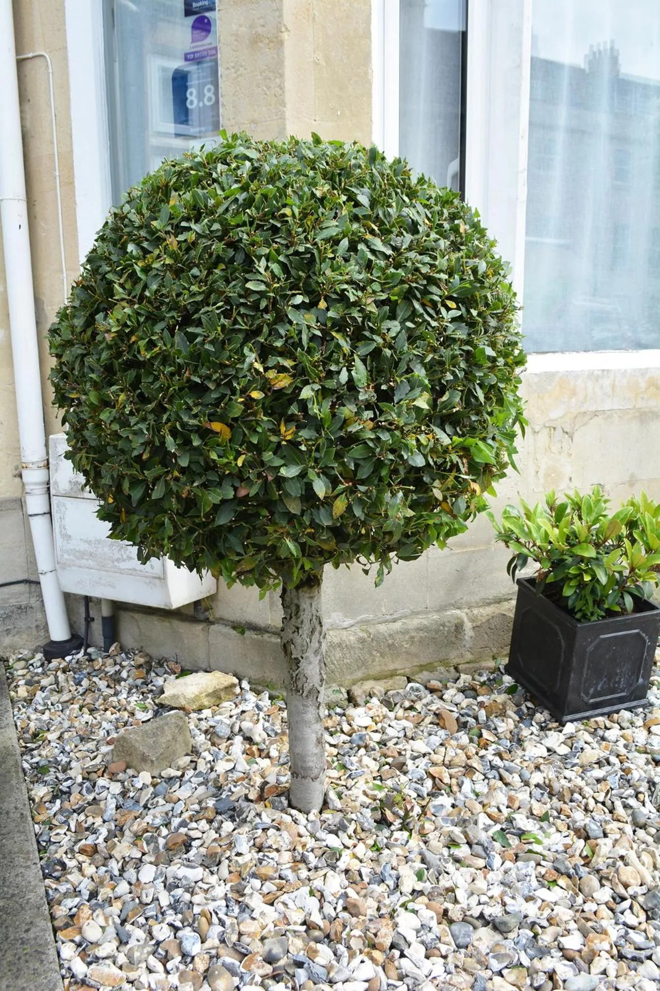 Property building in Bay Tree House