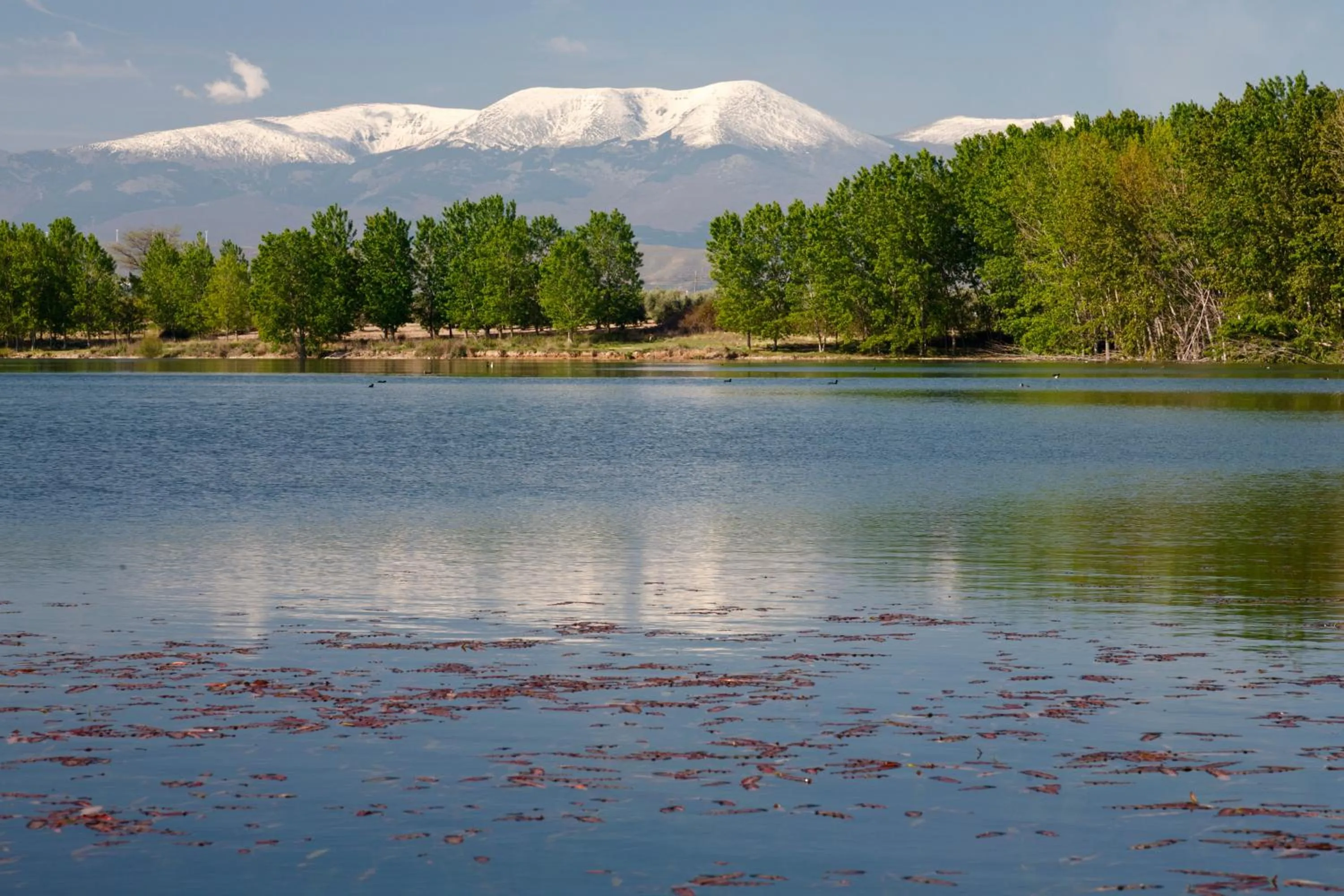 Activities in RuralSuite Hotel Apartamentos