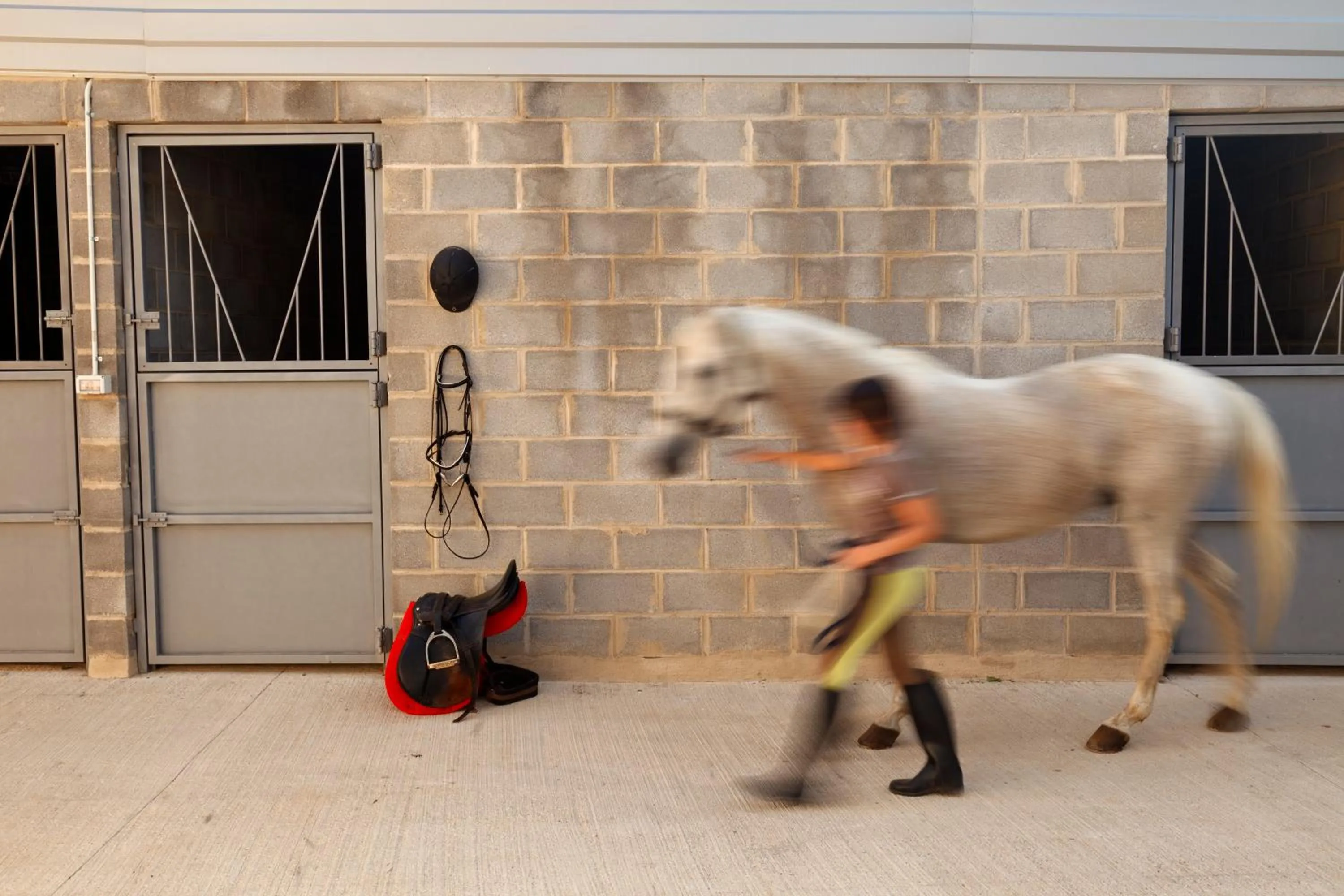 Garden in RuralSuite Hotel Apartamentos