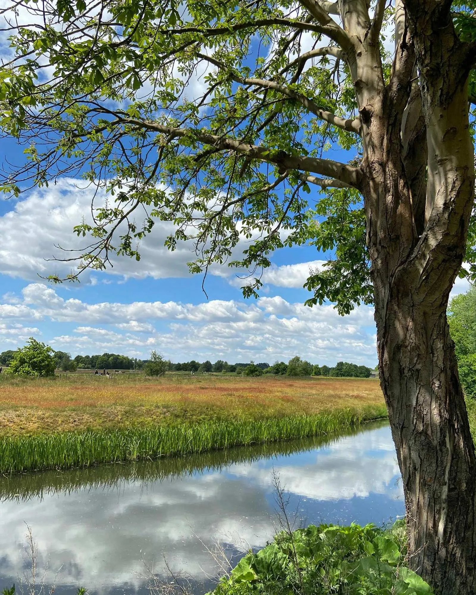 Day in Hotel De Ruwenberg Den Bosch - Sint Michielsgestel
