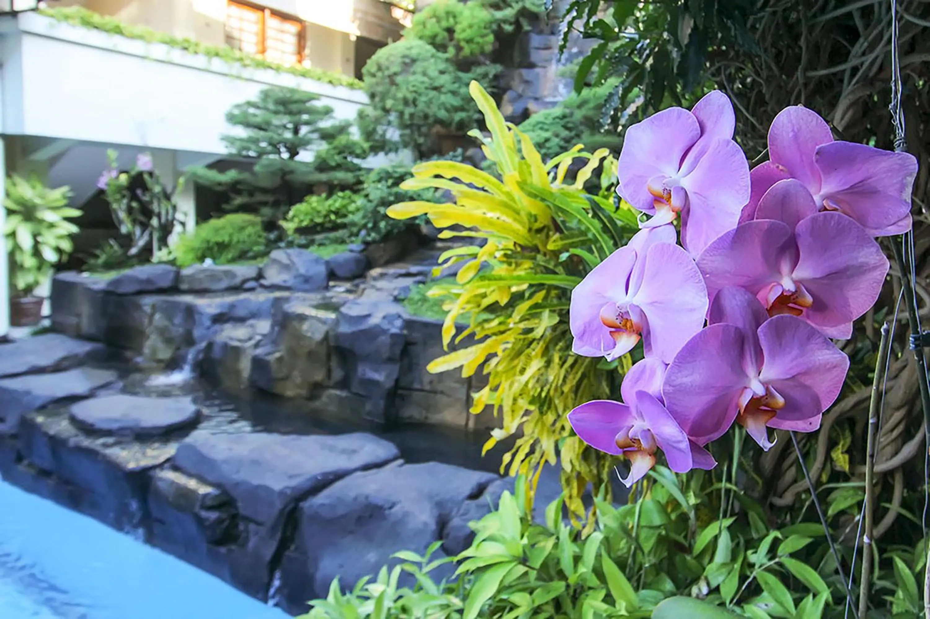 Day in Duta Guest House