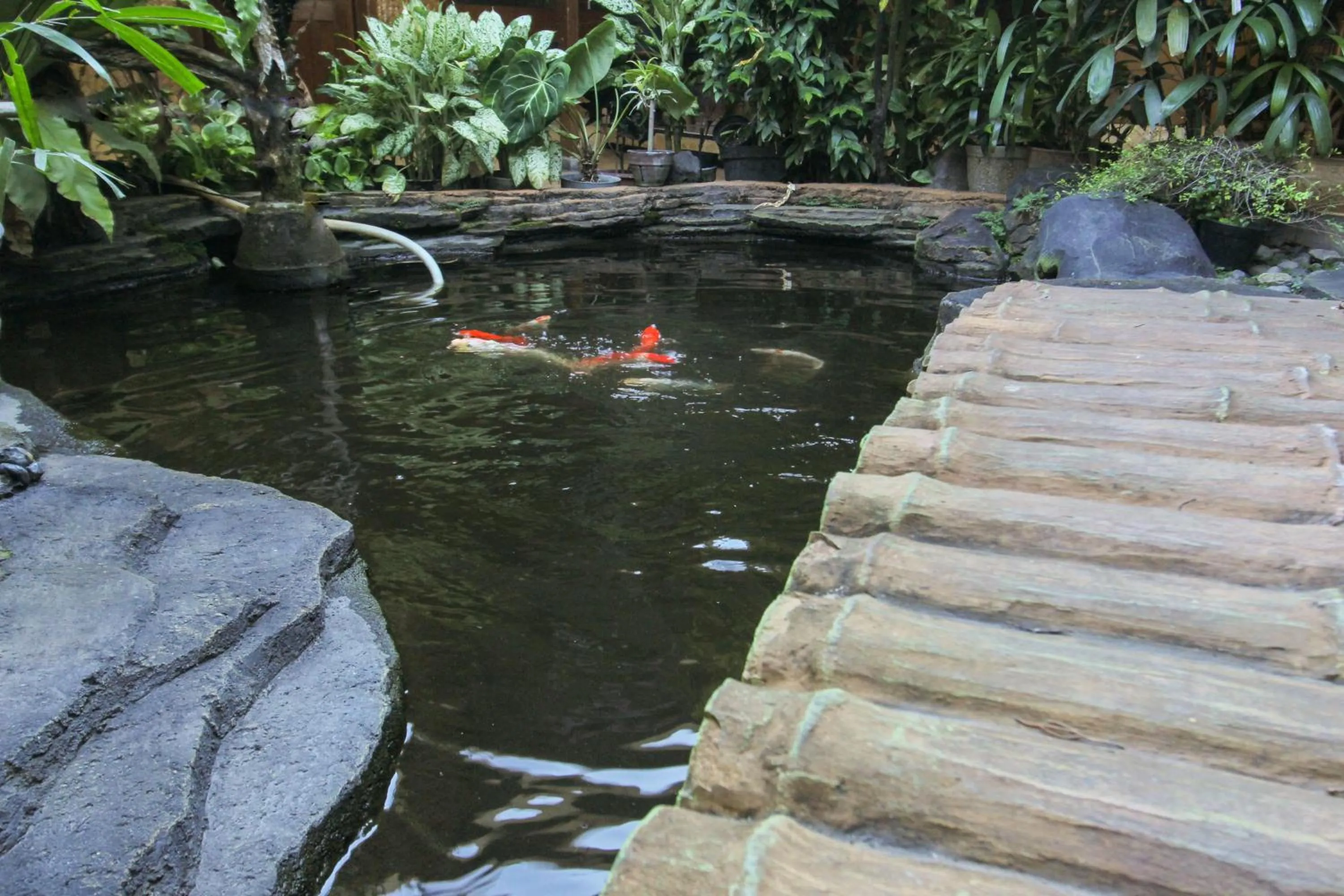 Garden in Duta Guest House