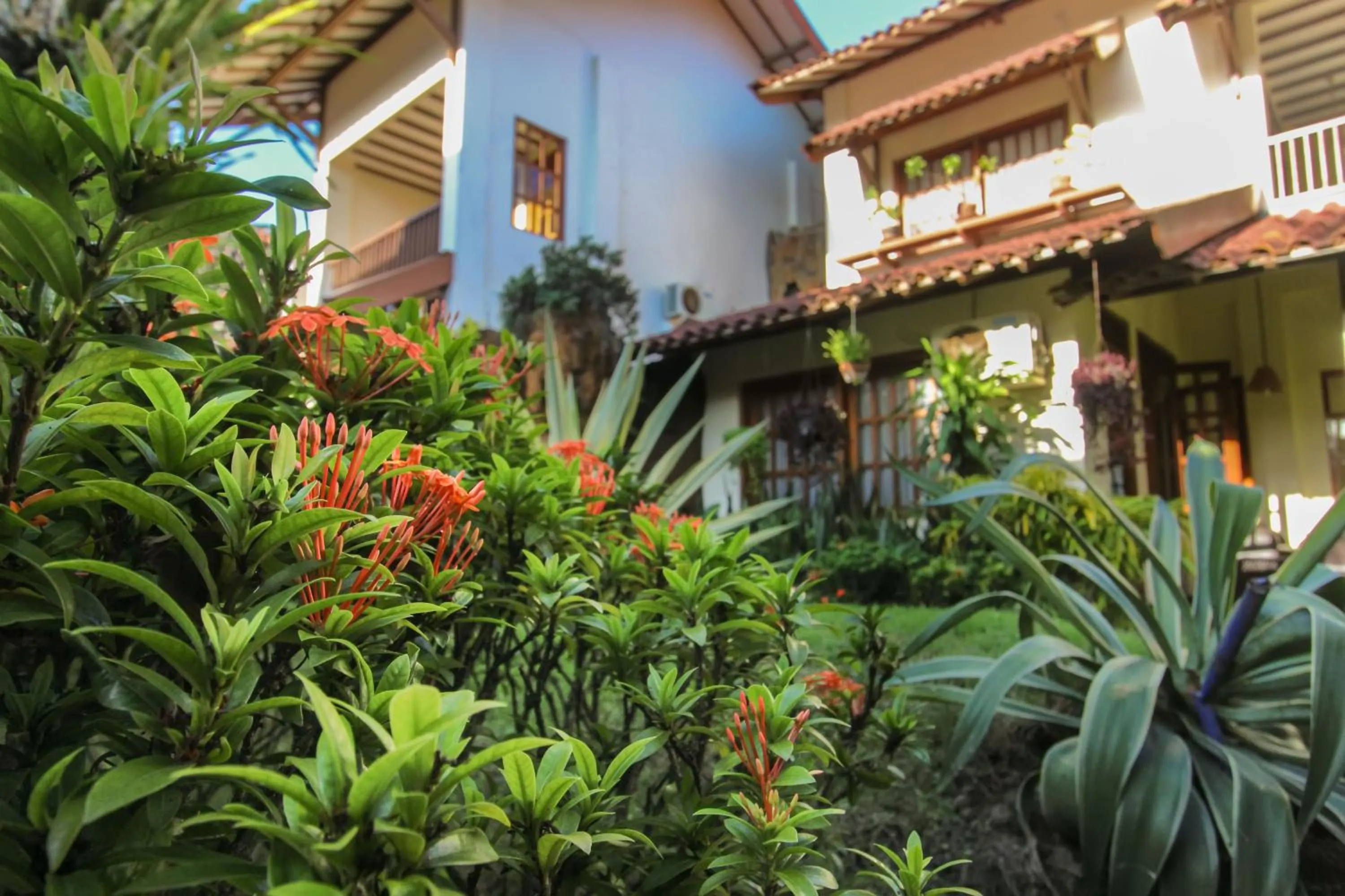 Garden in Duta Guest House