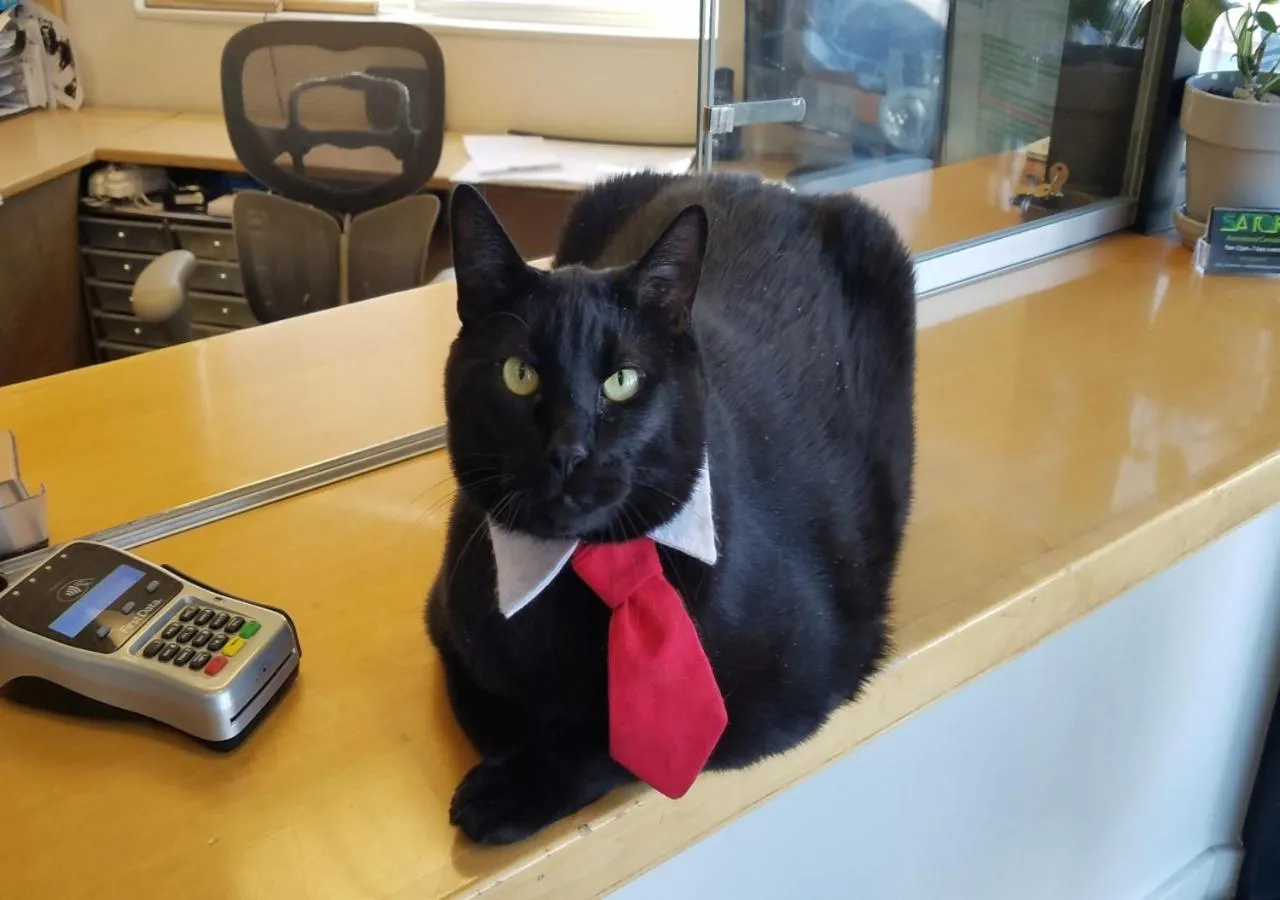 Staff in Ingra House Hotel