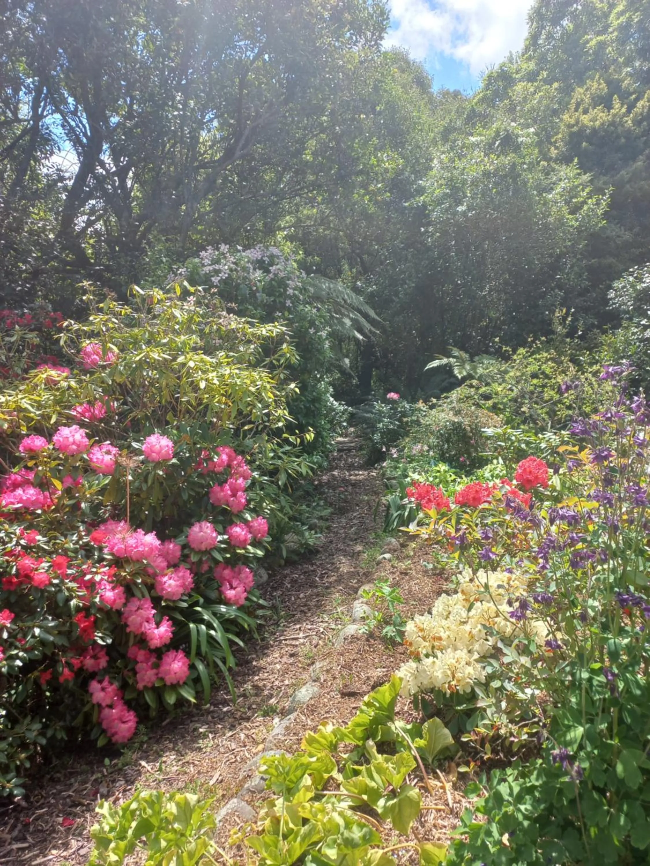 Garden in Riverstone House