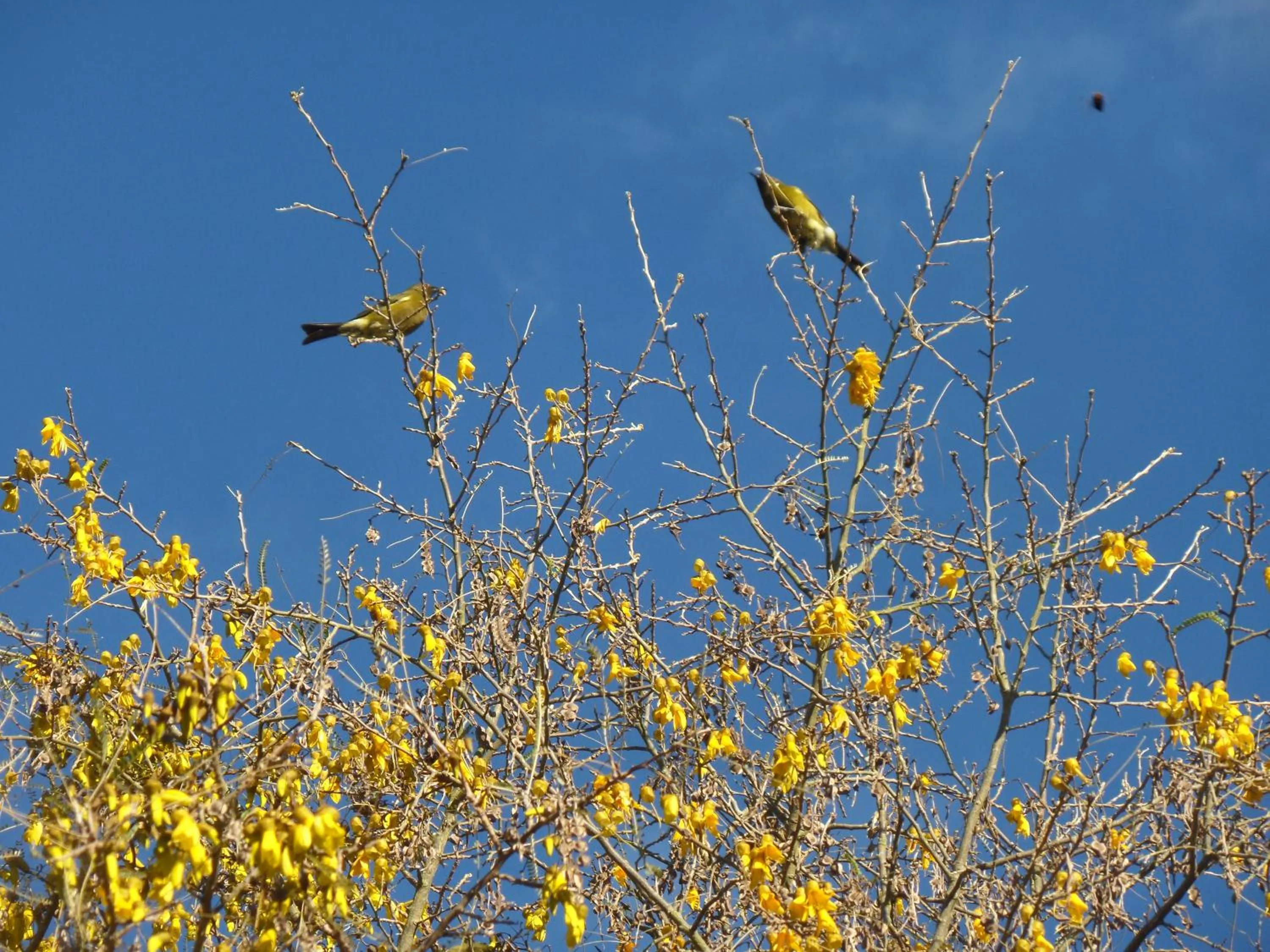 Garden in Riverstone House