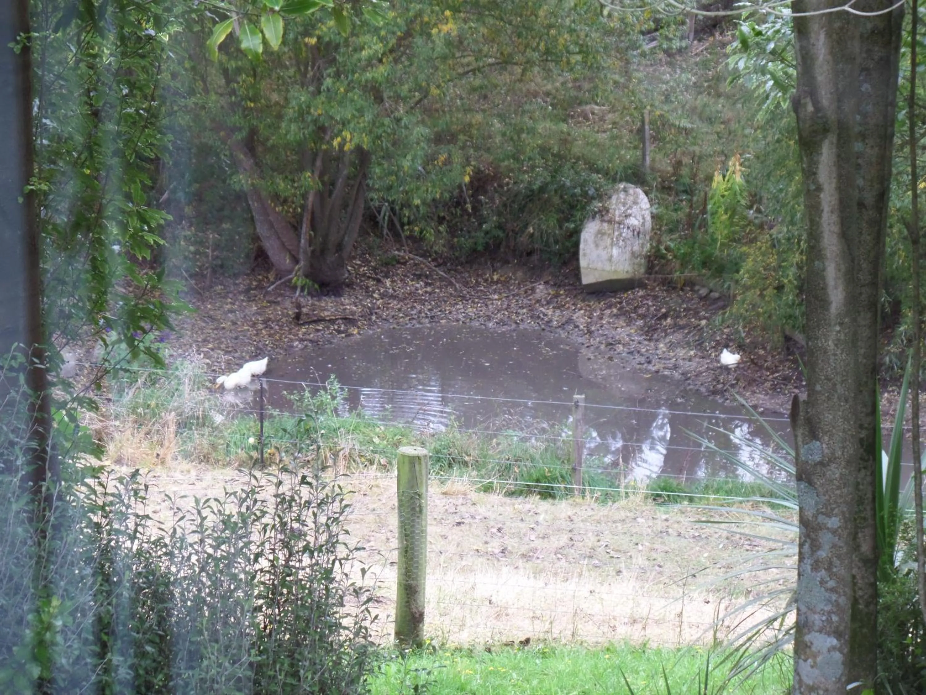Property building in Riverstone House