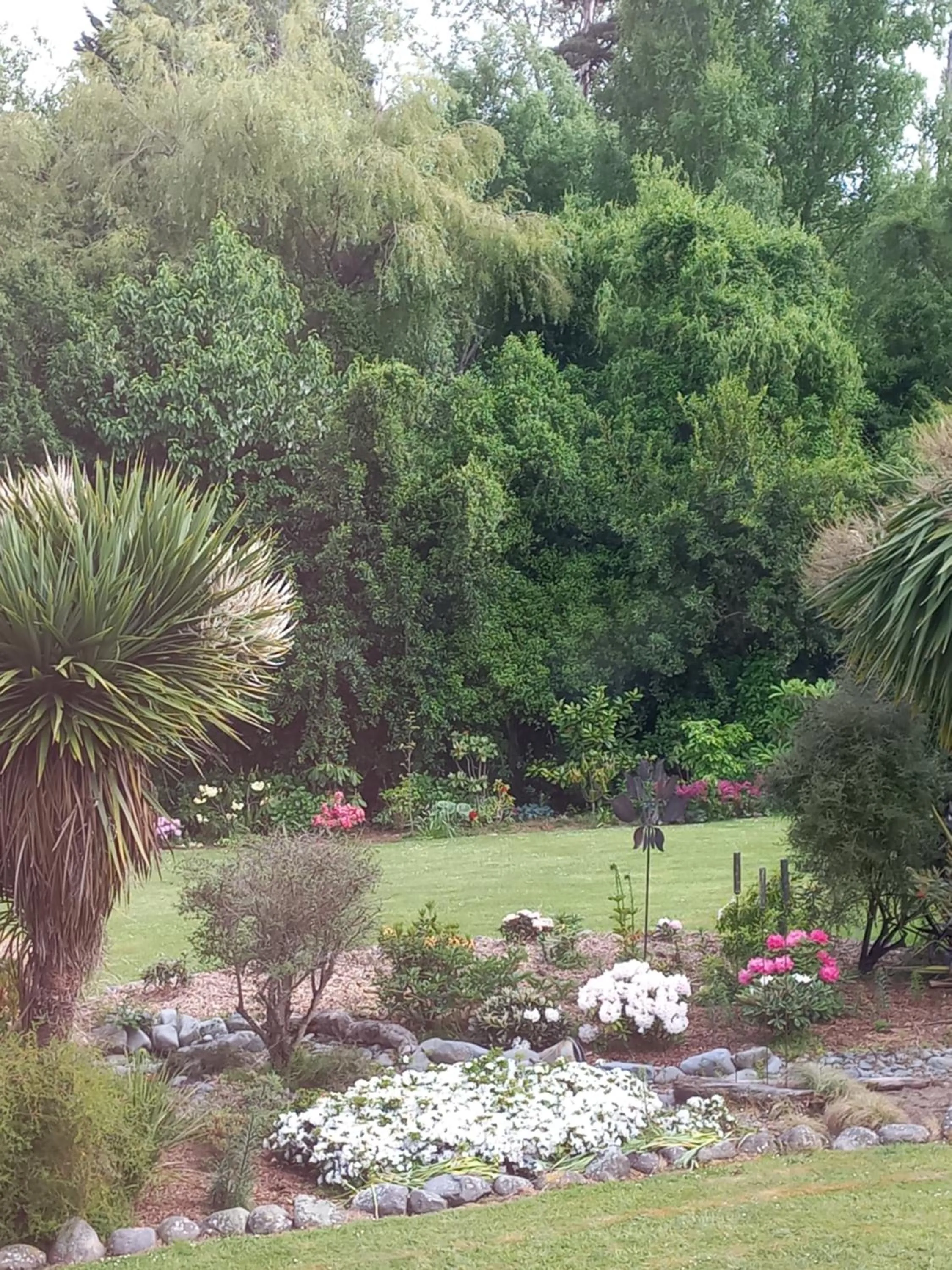 Garden in Riverstone House