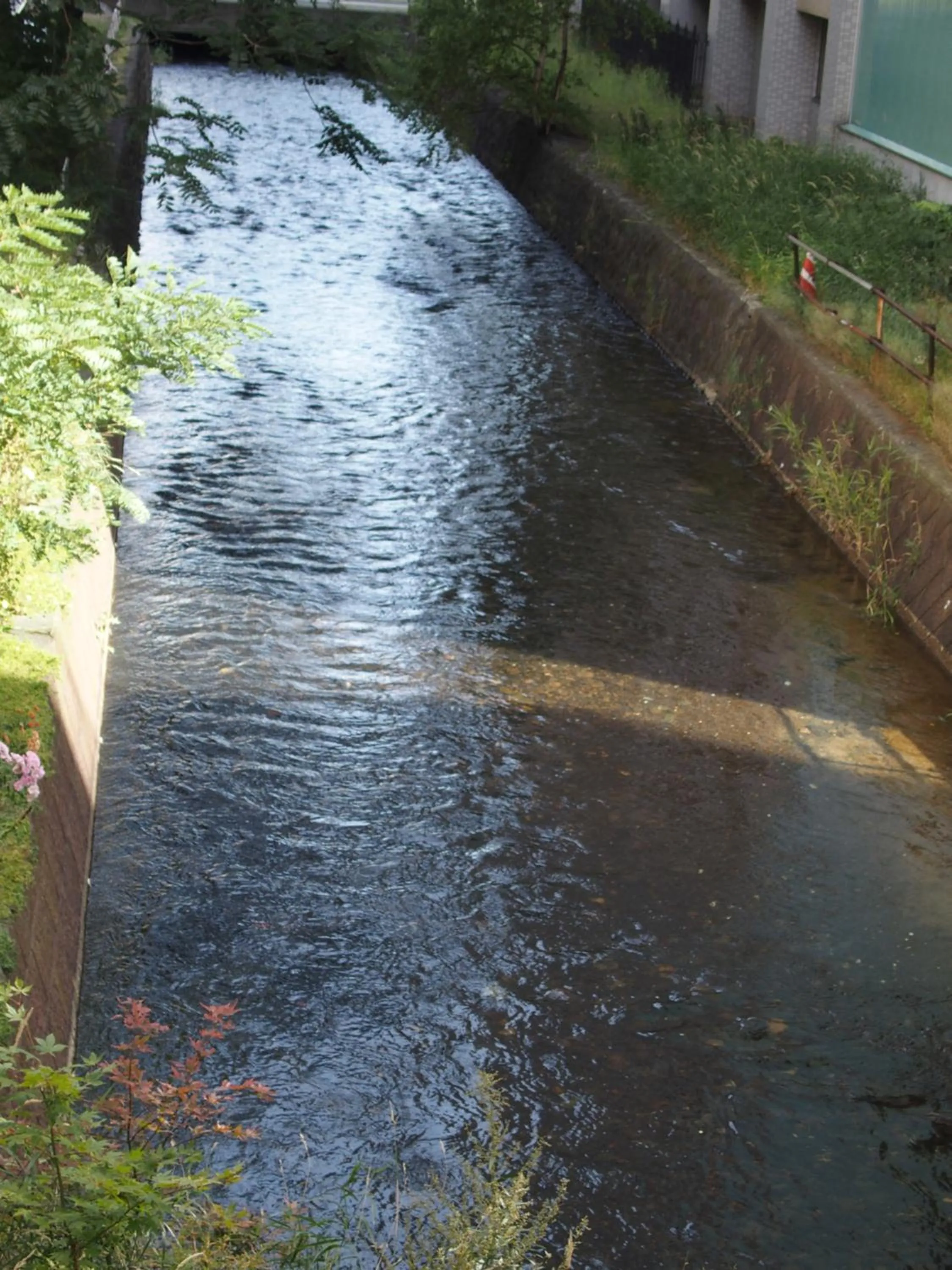 View (from property/room) in Private house Kuranoya Sapporo