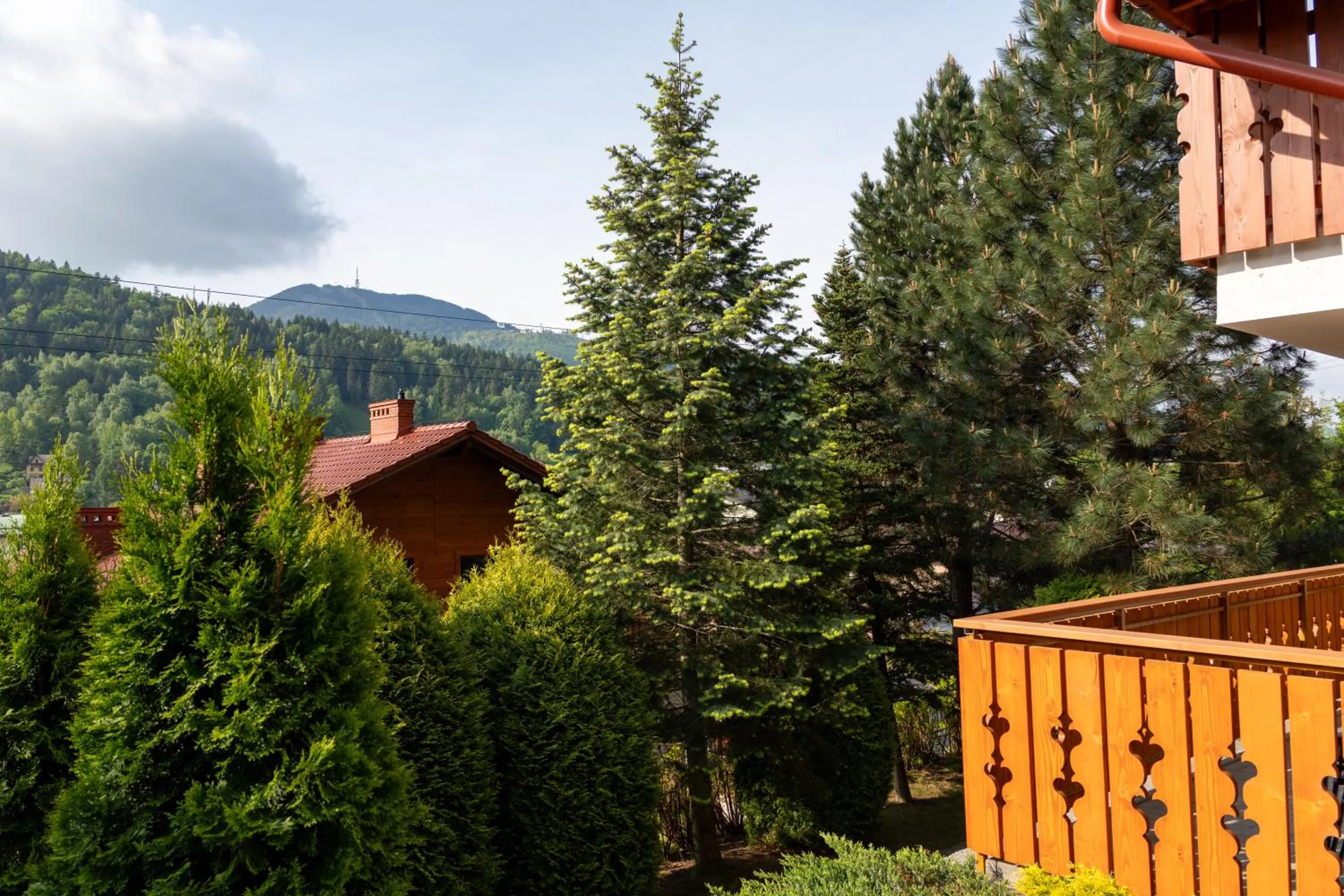 Spring in Willa i Wzgórze Jerrego Apartamenty i pokoje z widokiem na góry