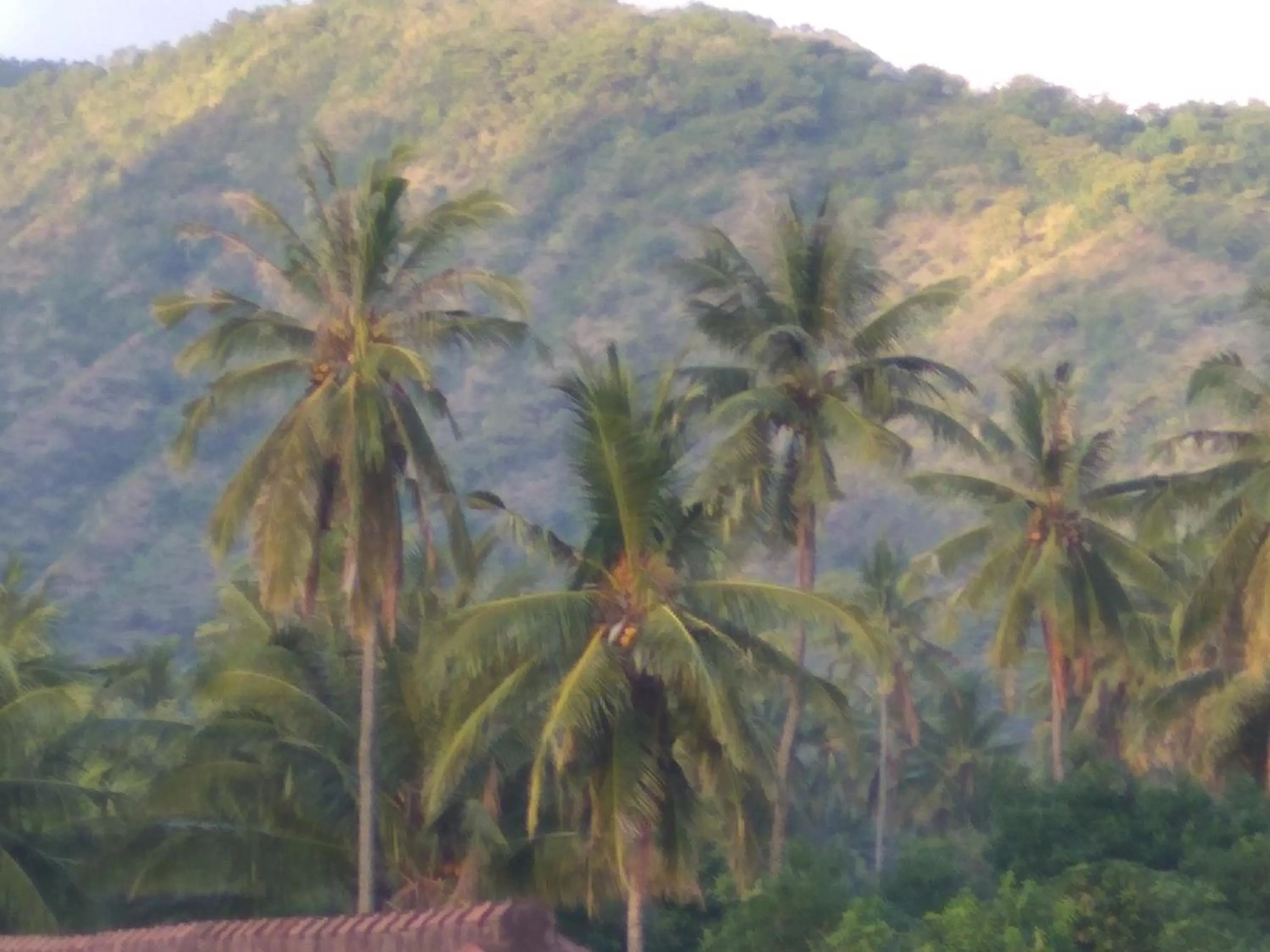Mountain view in Master Homestay