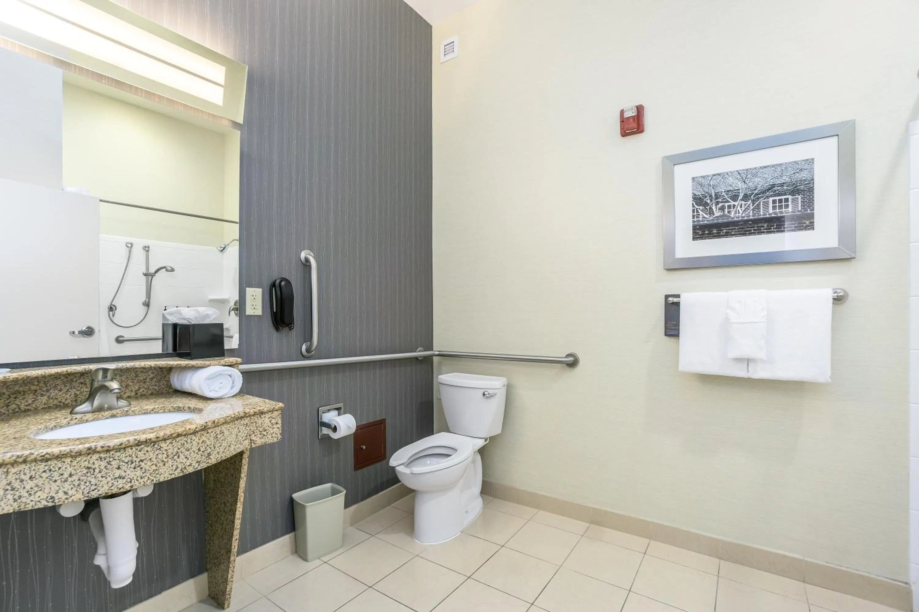 Bathroom in Courtyard Fredericksburg Historic District