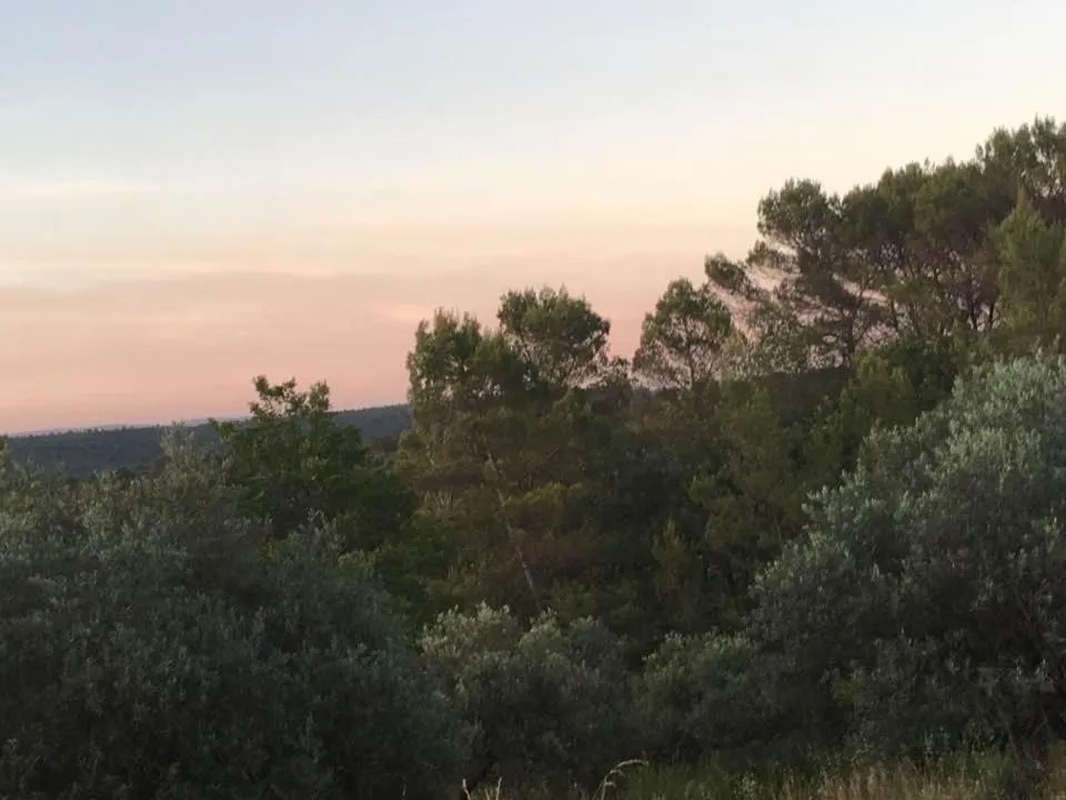 La cabane des amoureux