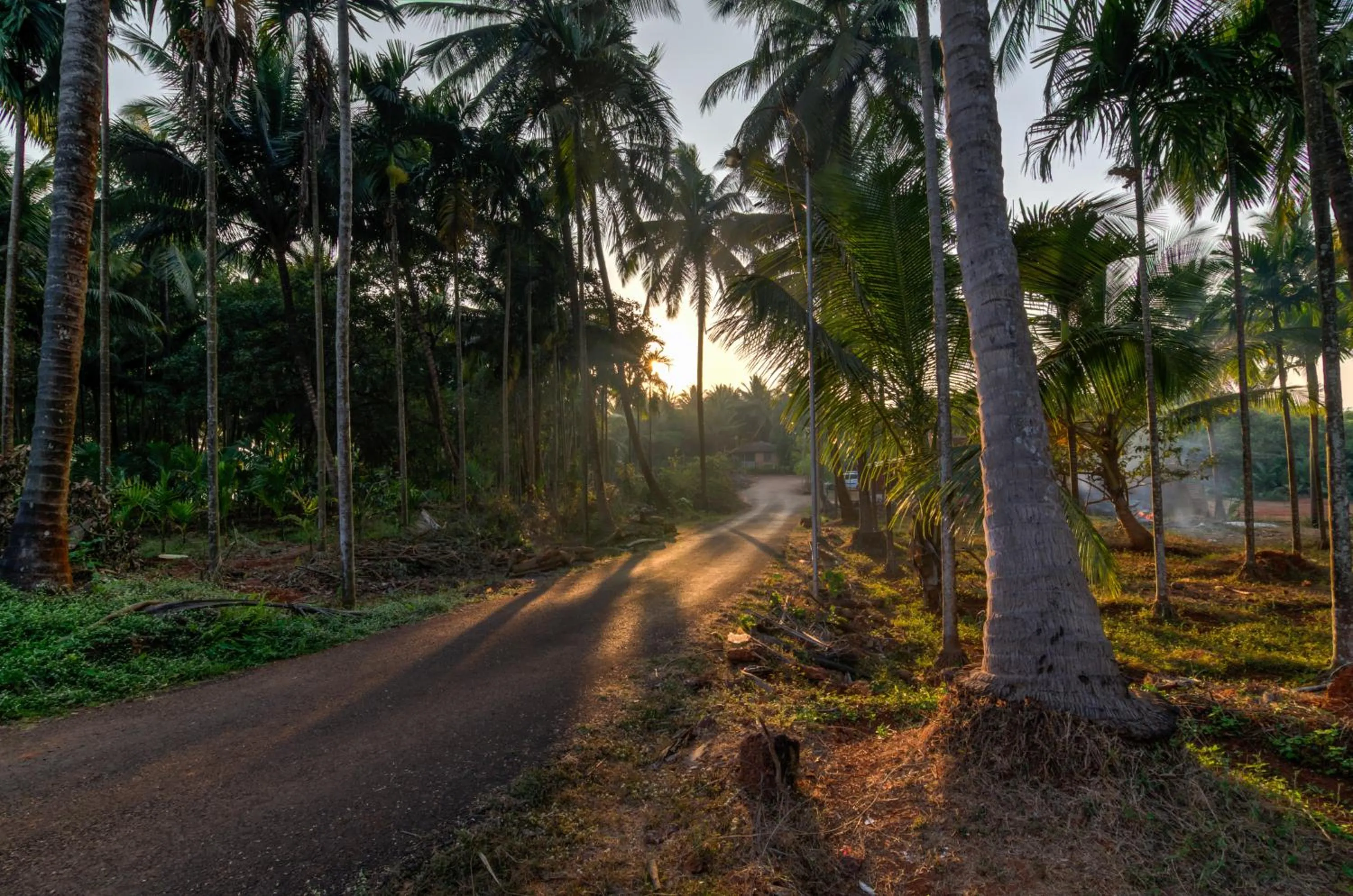 Other in Shantai By the Lake