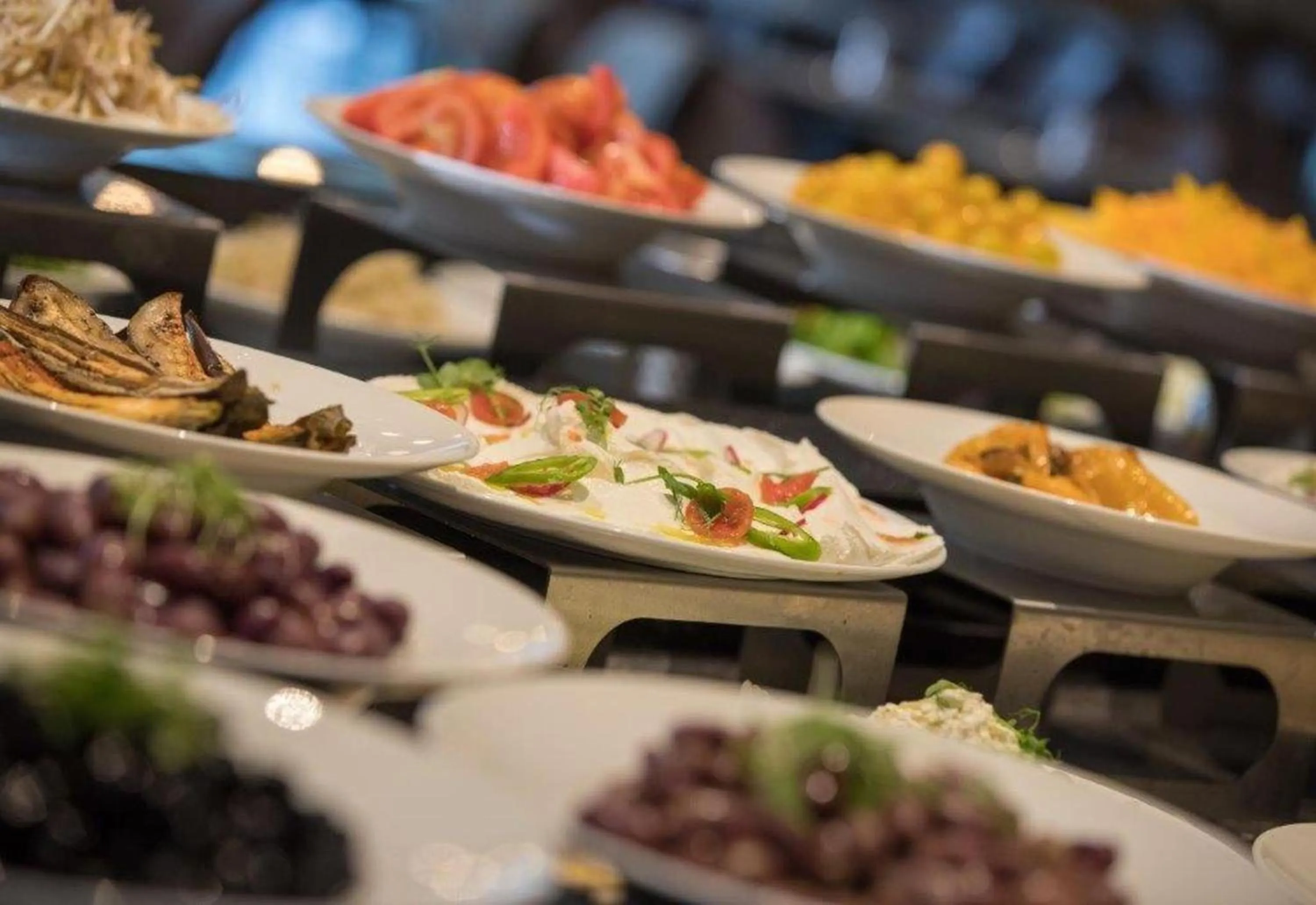 Food and drinks in Hotel Lake House Kinneret