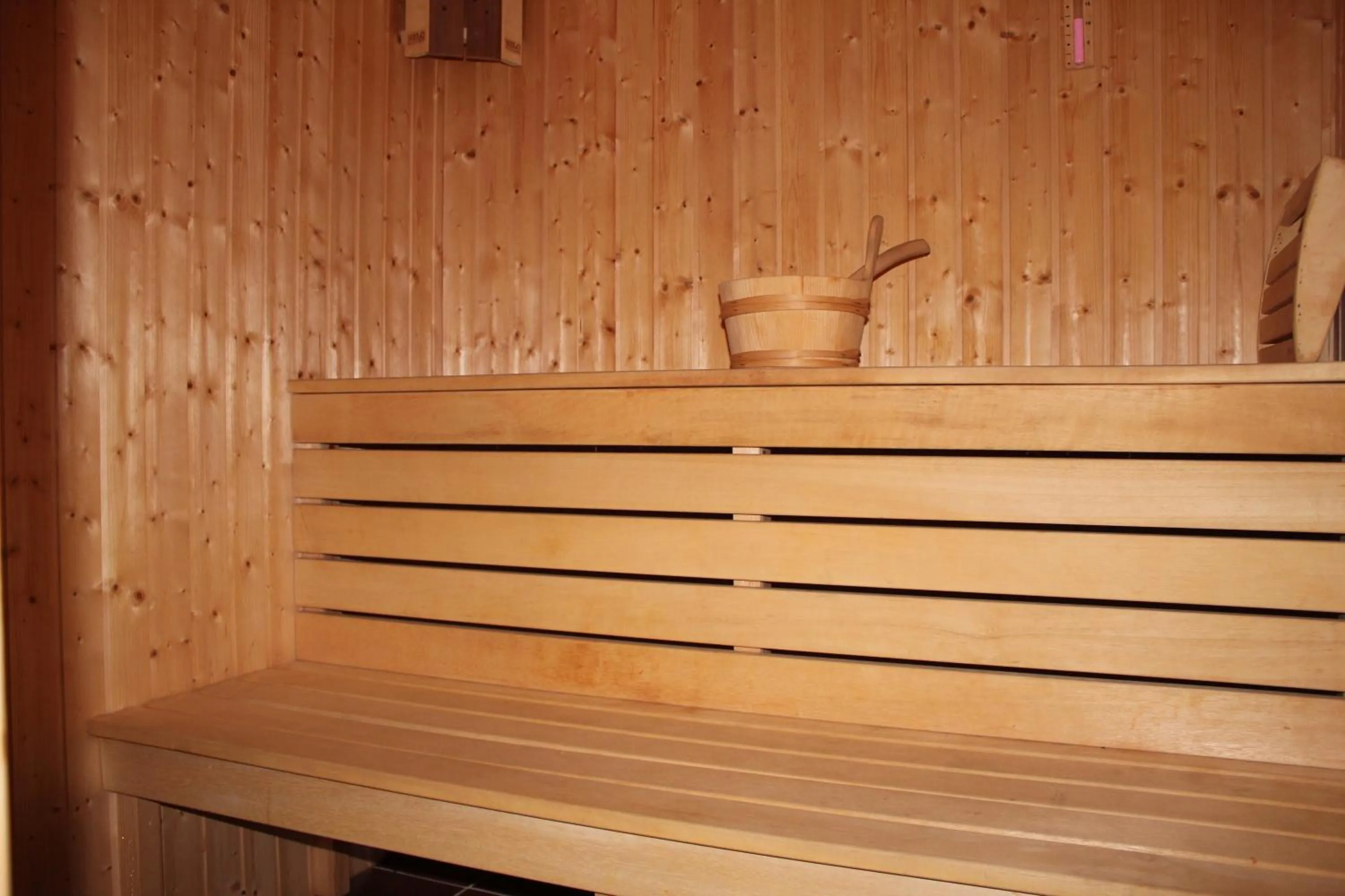 Sauna in Nevada Aparthotel