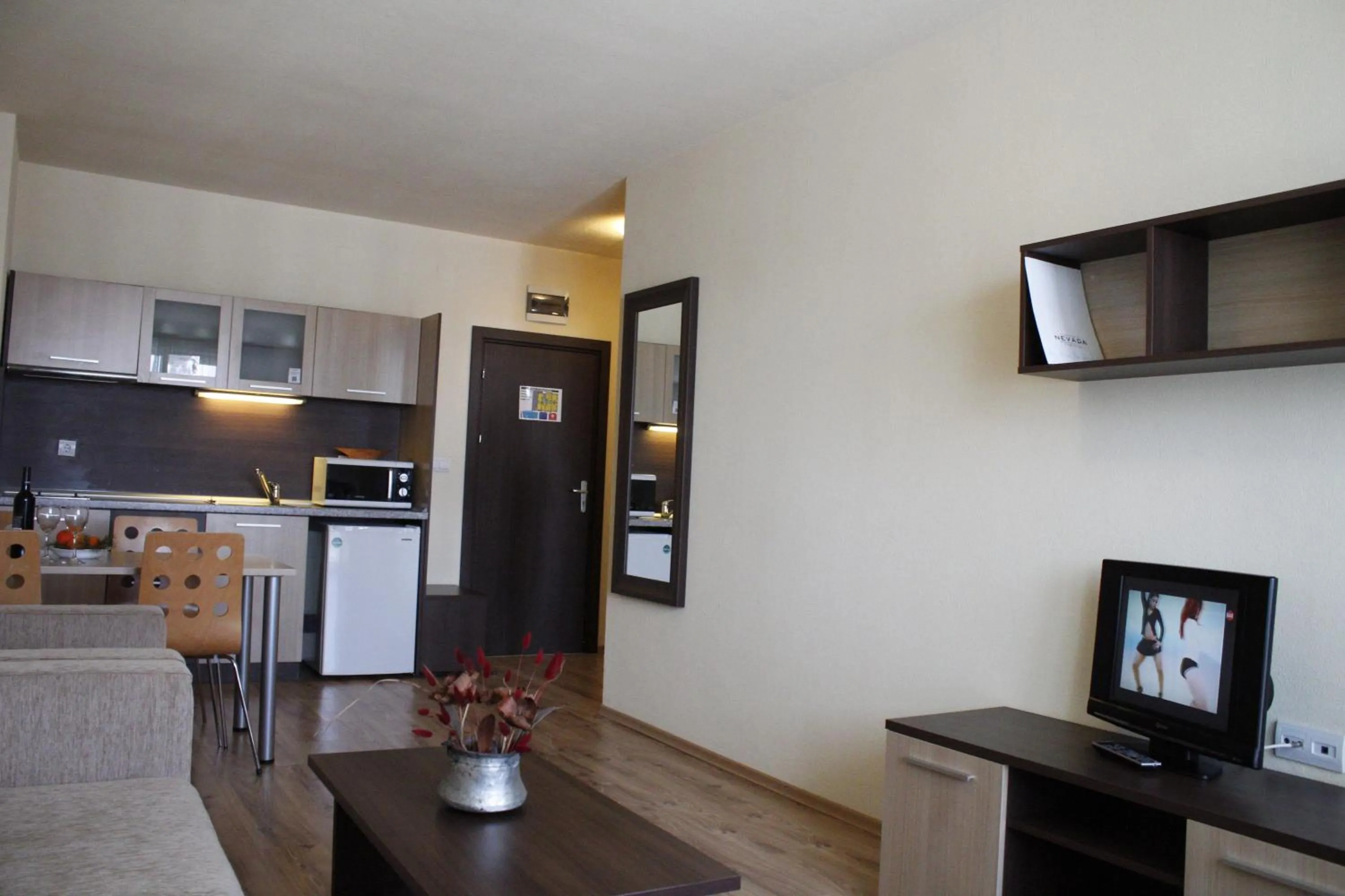 Photo of the whole room in Nevada Aparthotel