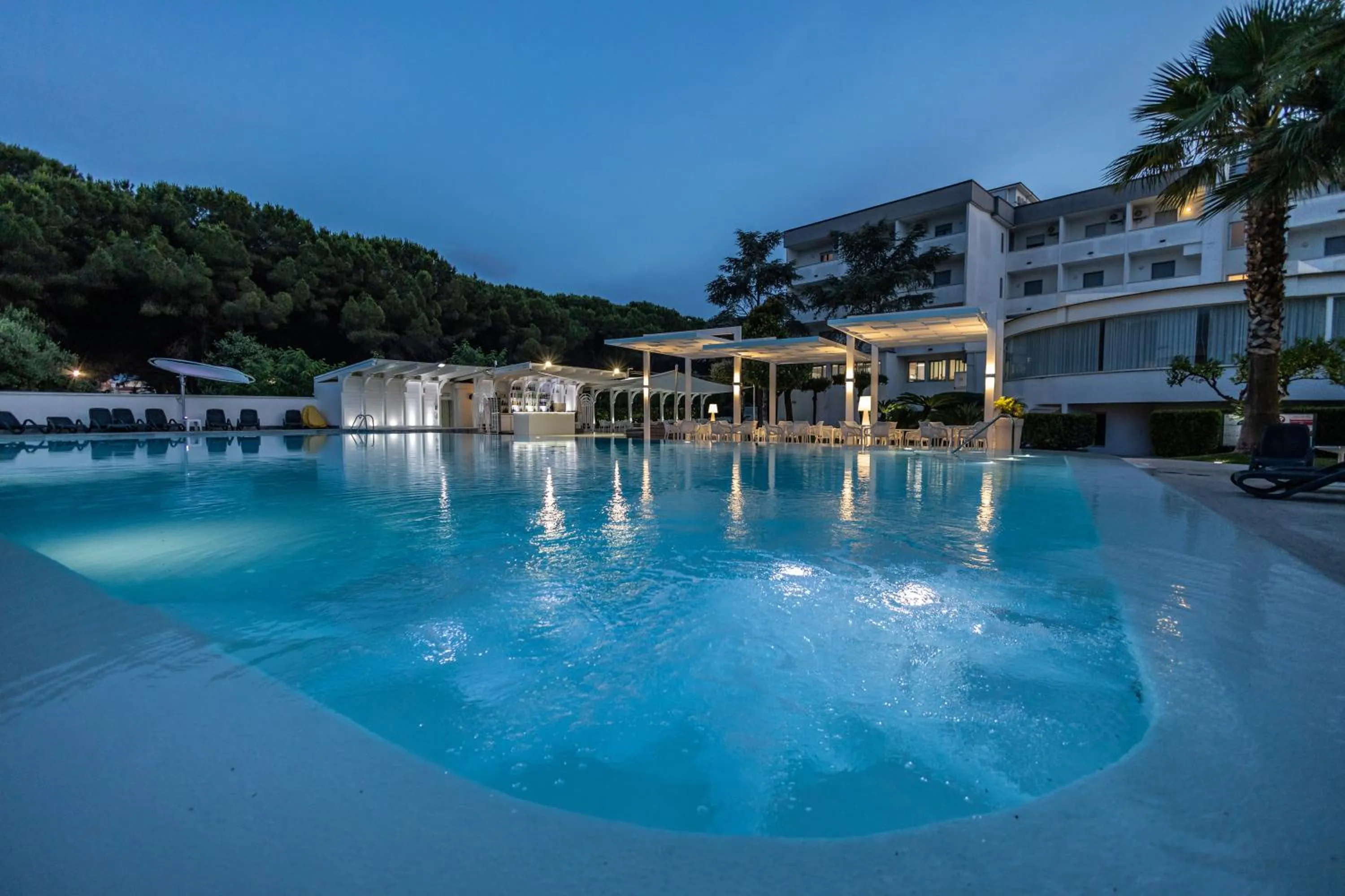 Swimming pool in Hotel Le Palme