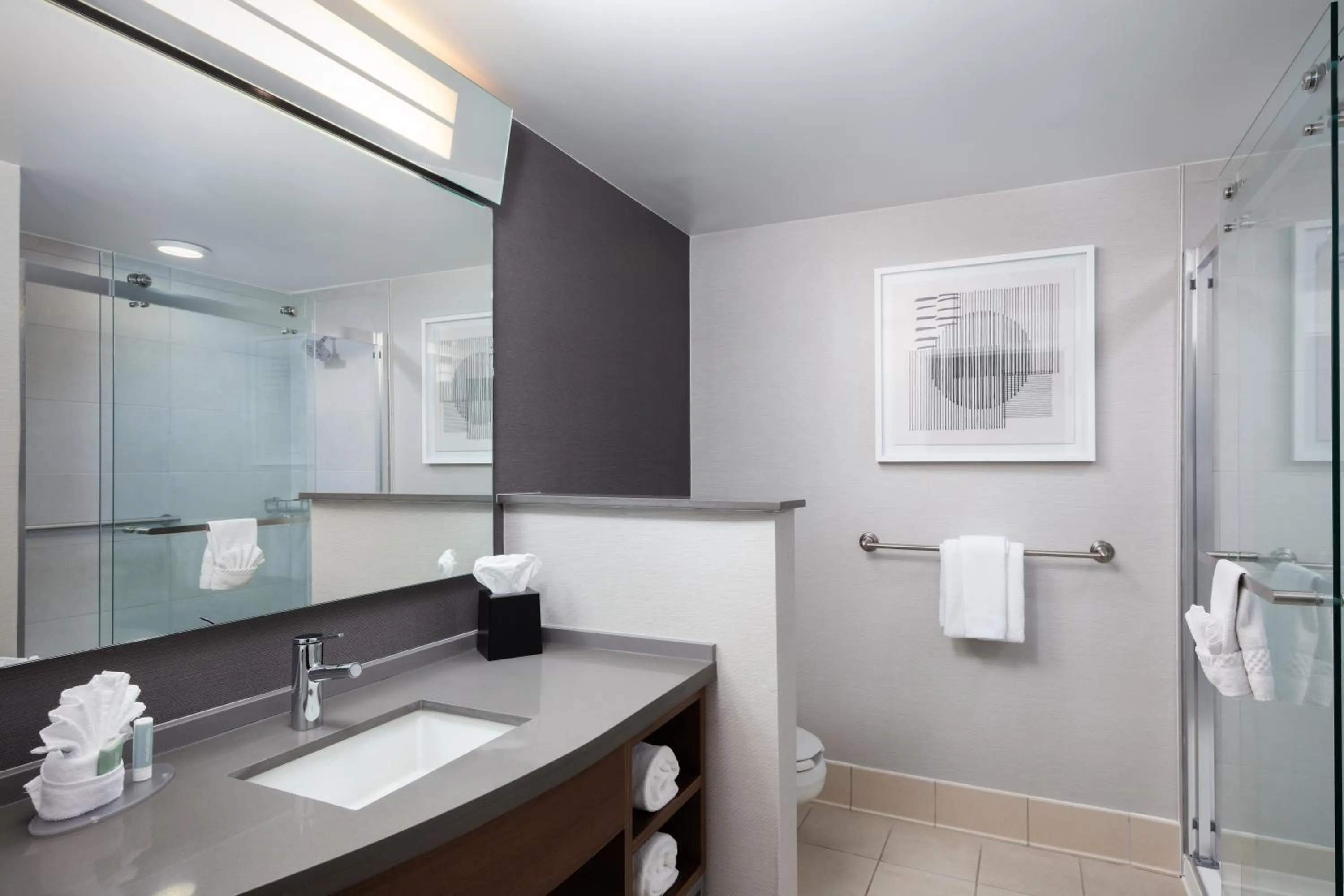 Shower in Courtyard by Marriott Wichita at Old Town