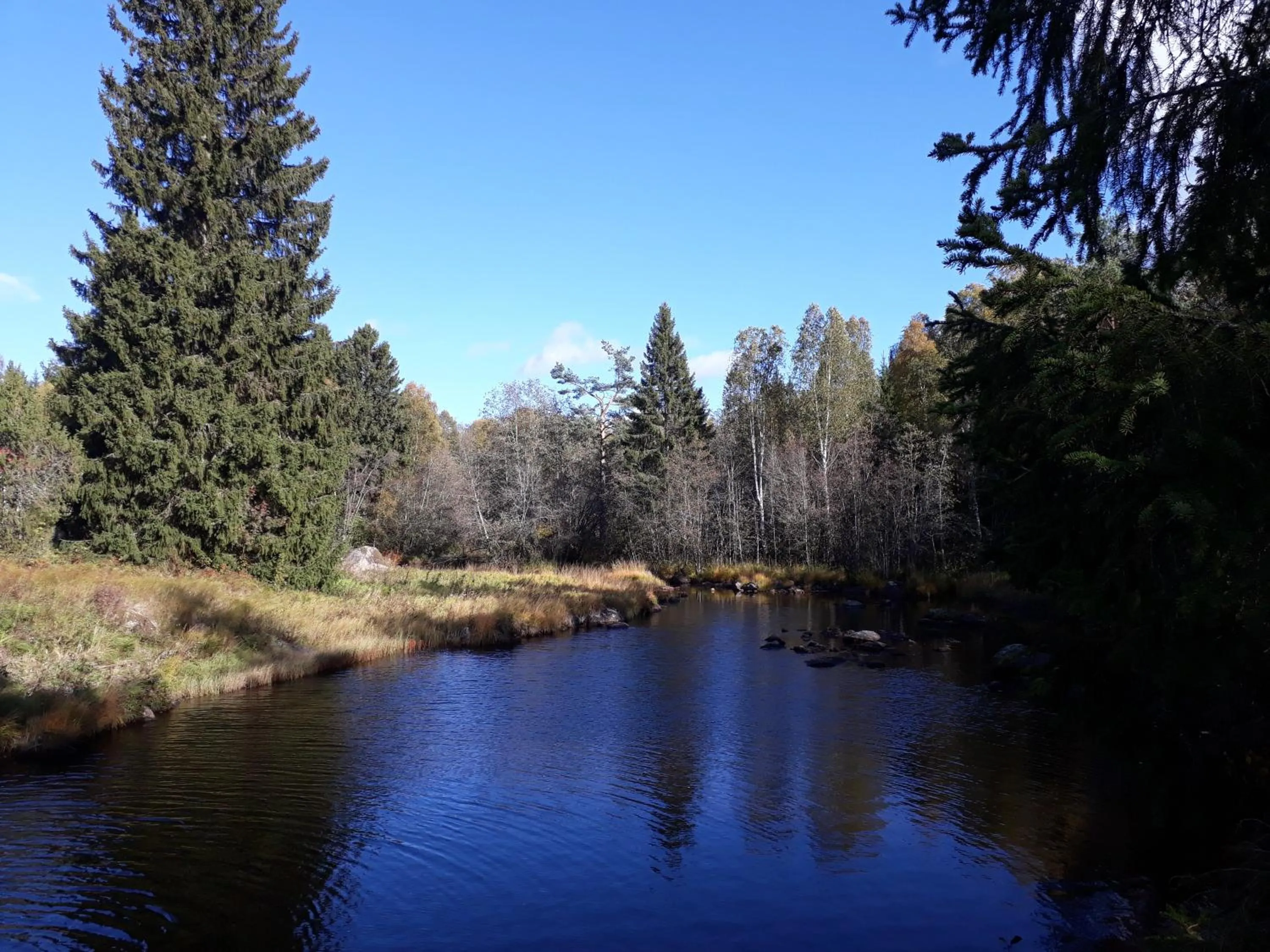 Nearby landmark in Geijersholms Herrgård