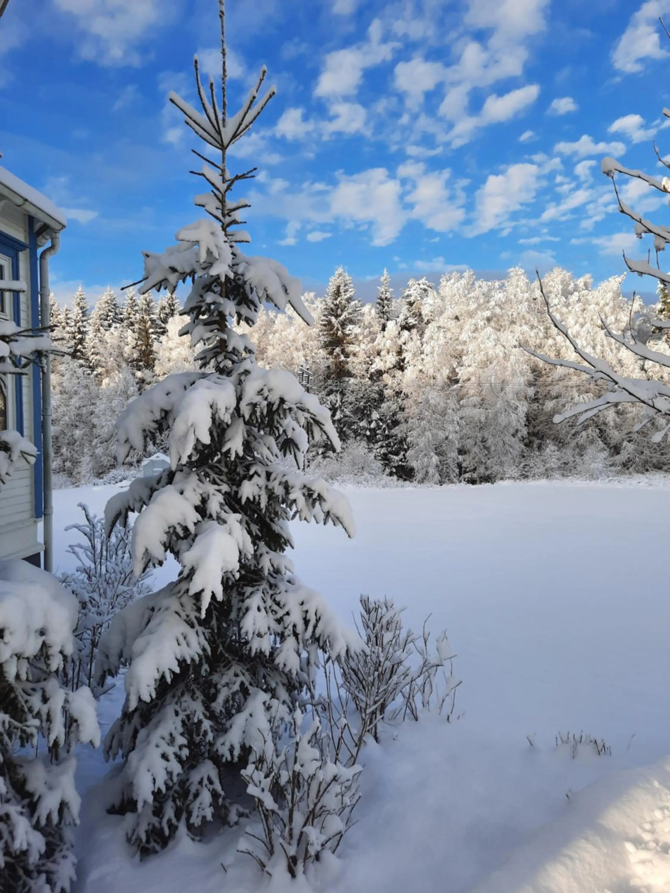 Winter in Geijersholms Herrgård