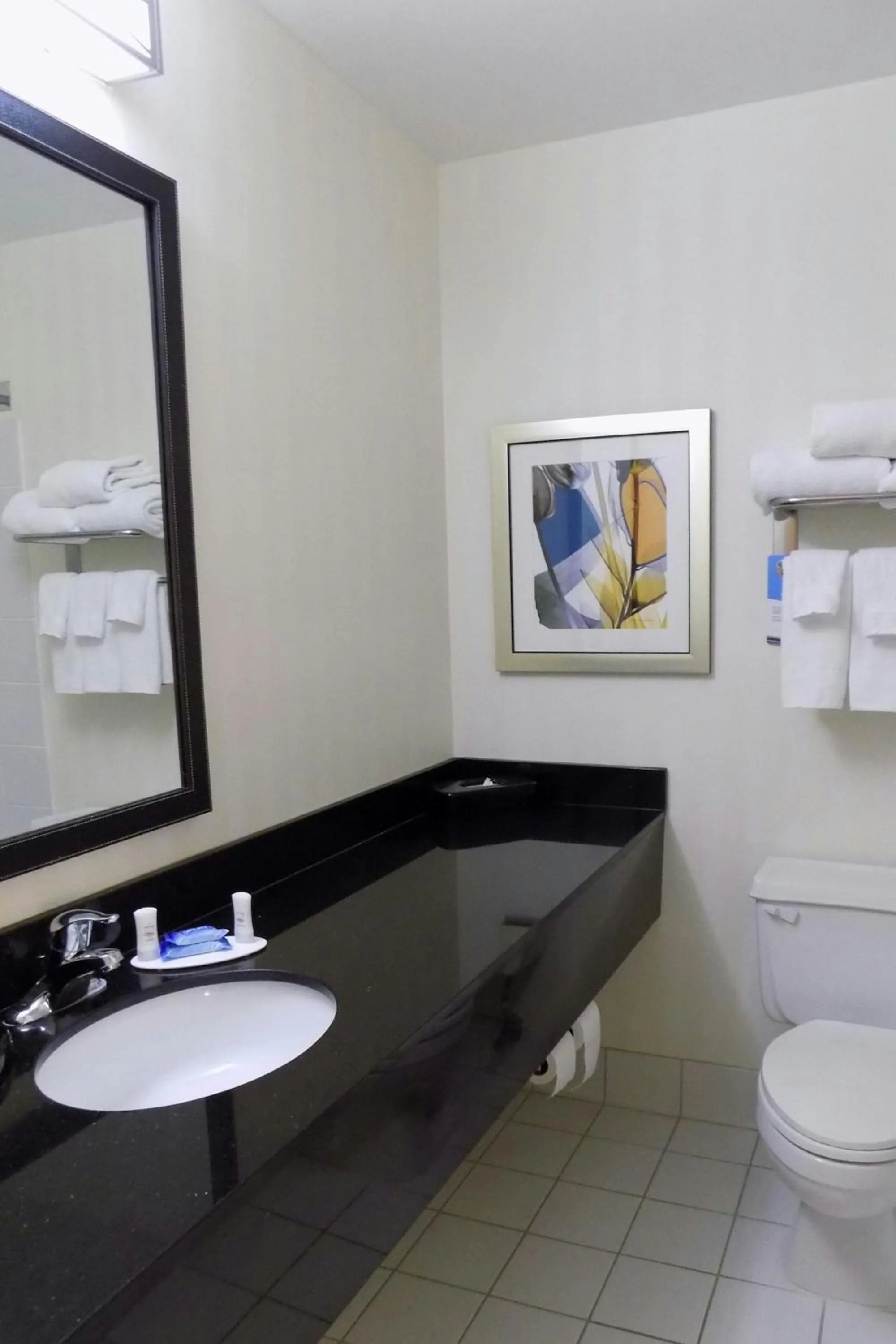 Bathroom in Fairfield Inn Indianapolis South