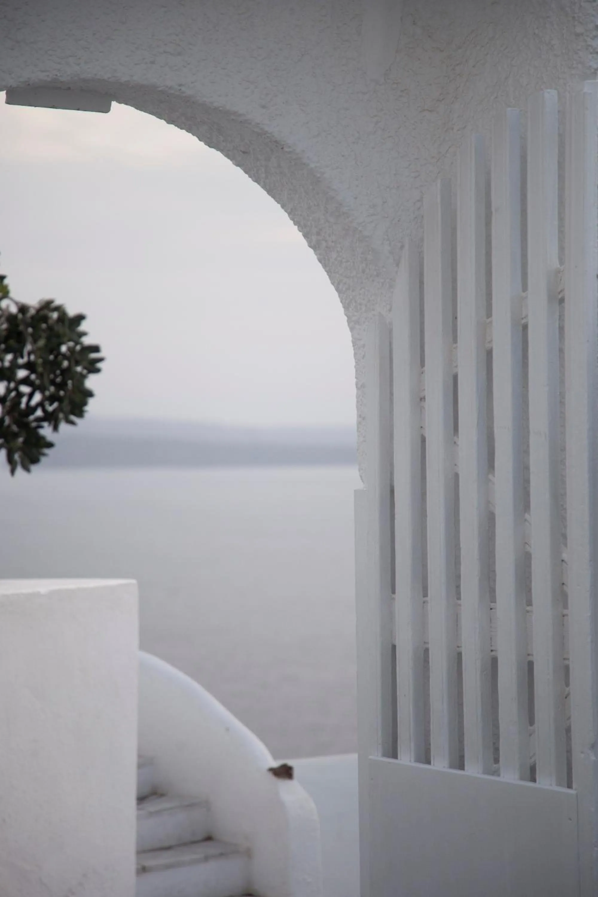 Winter in Alexander's Suites