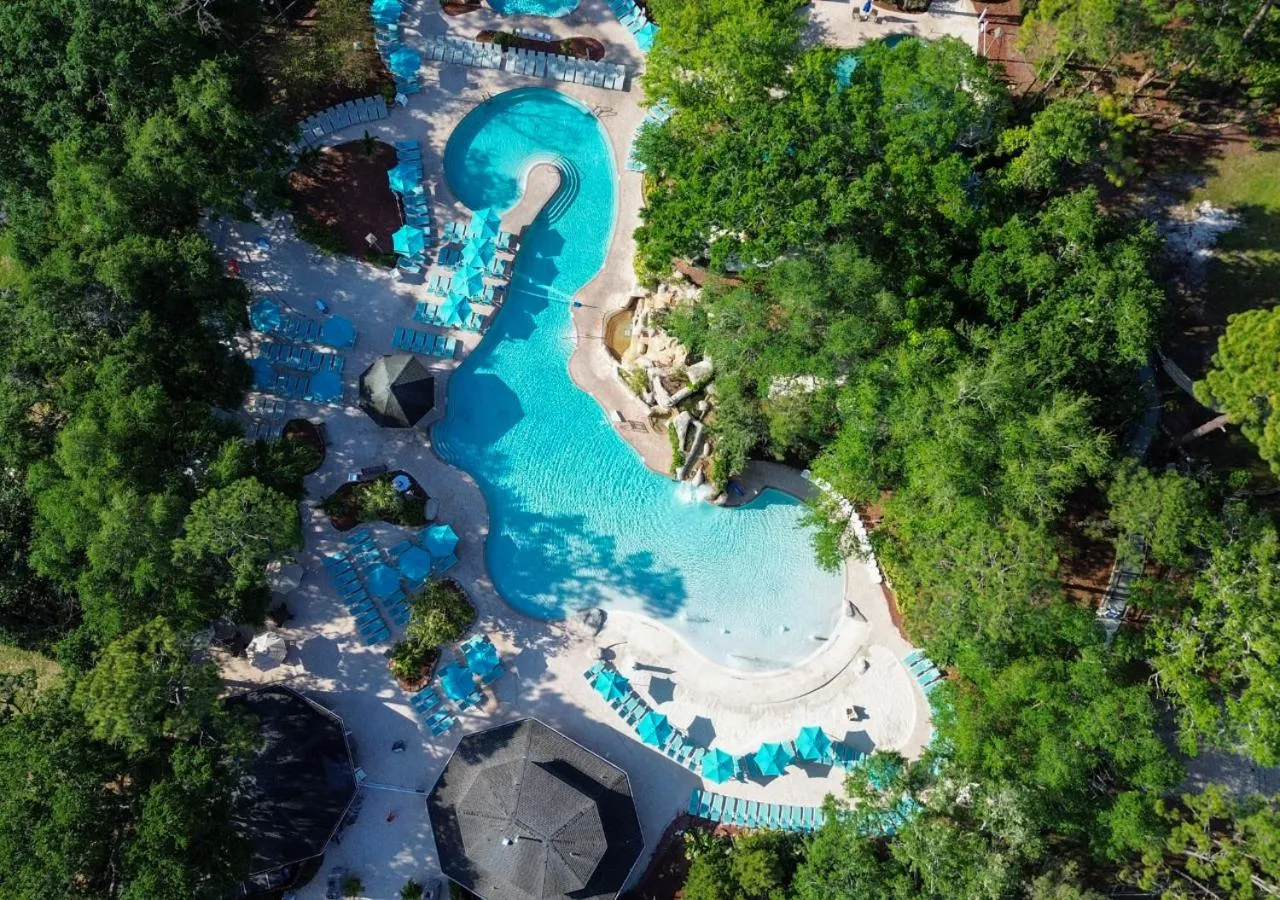 Swimming pool in Innisbrook Resort