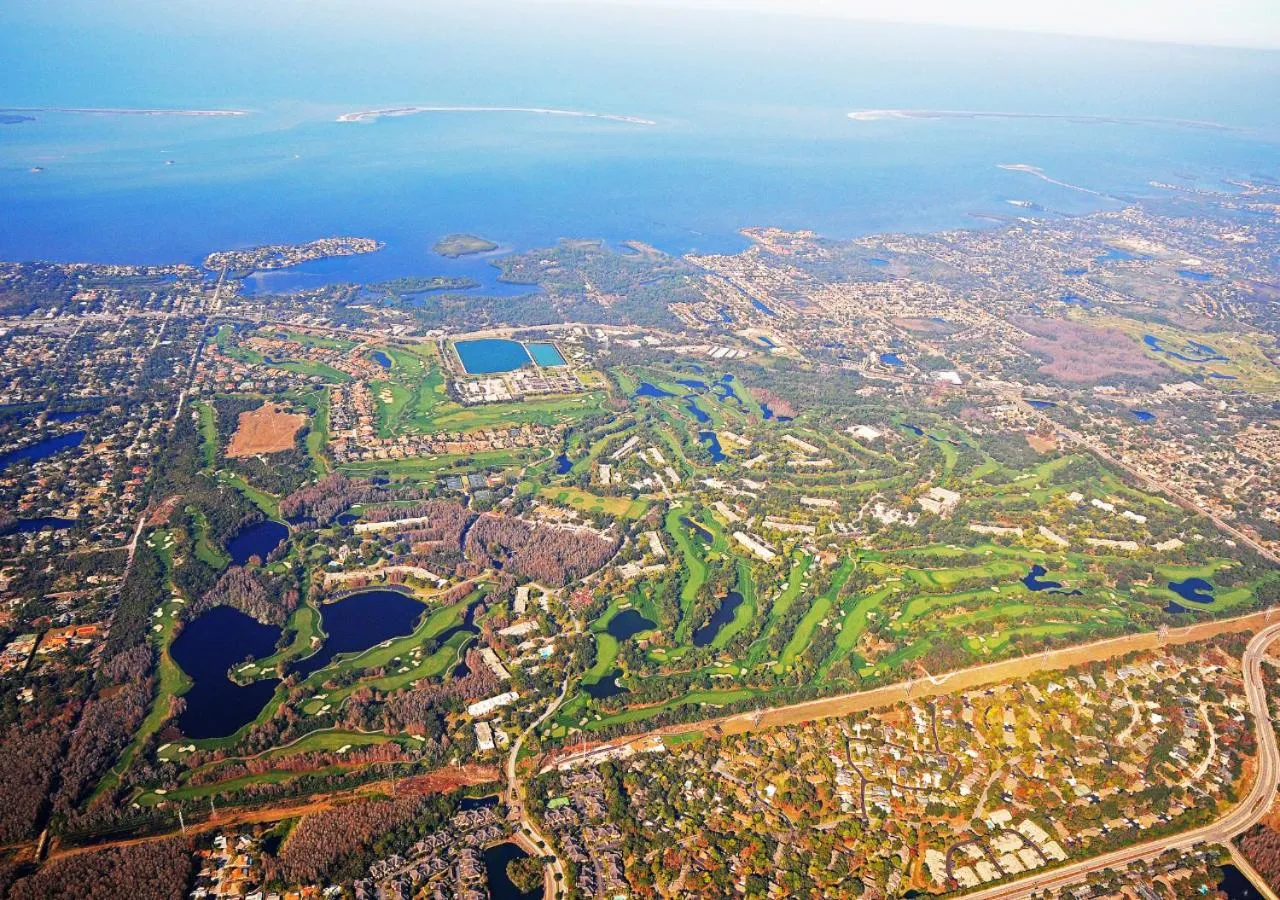 Bird's eye view in Innisbrook Resort