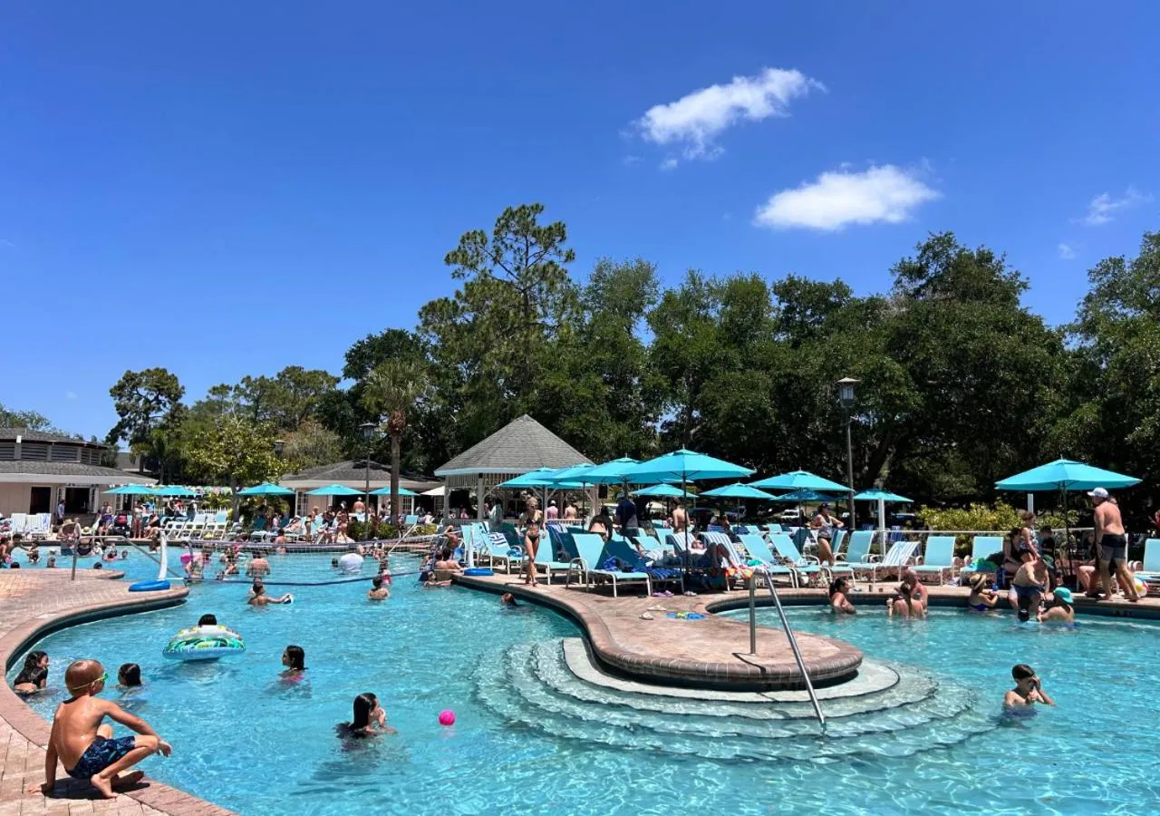 Swimming pool in Innisbrook Resort