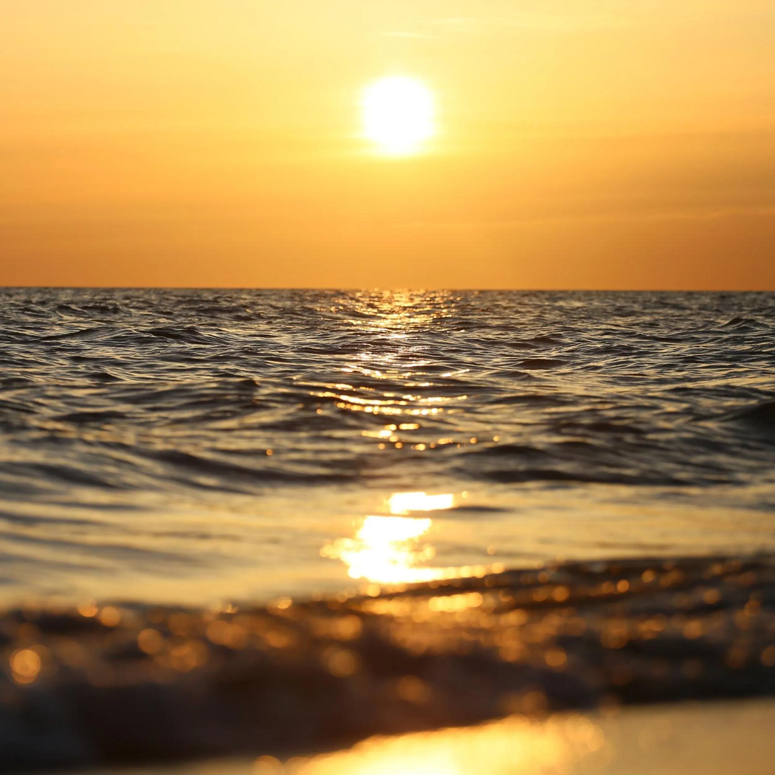 Natural landscape in Ośrodek Wypoczynkowy CHAMPION