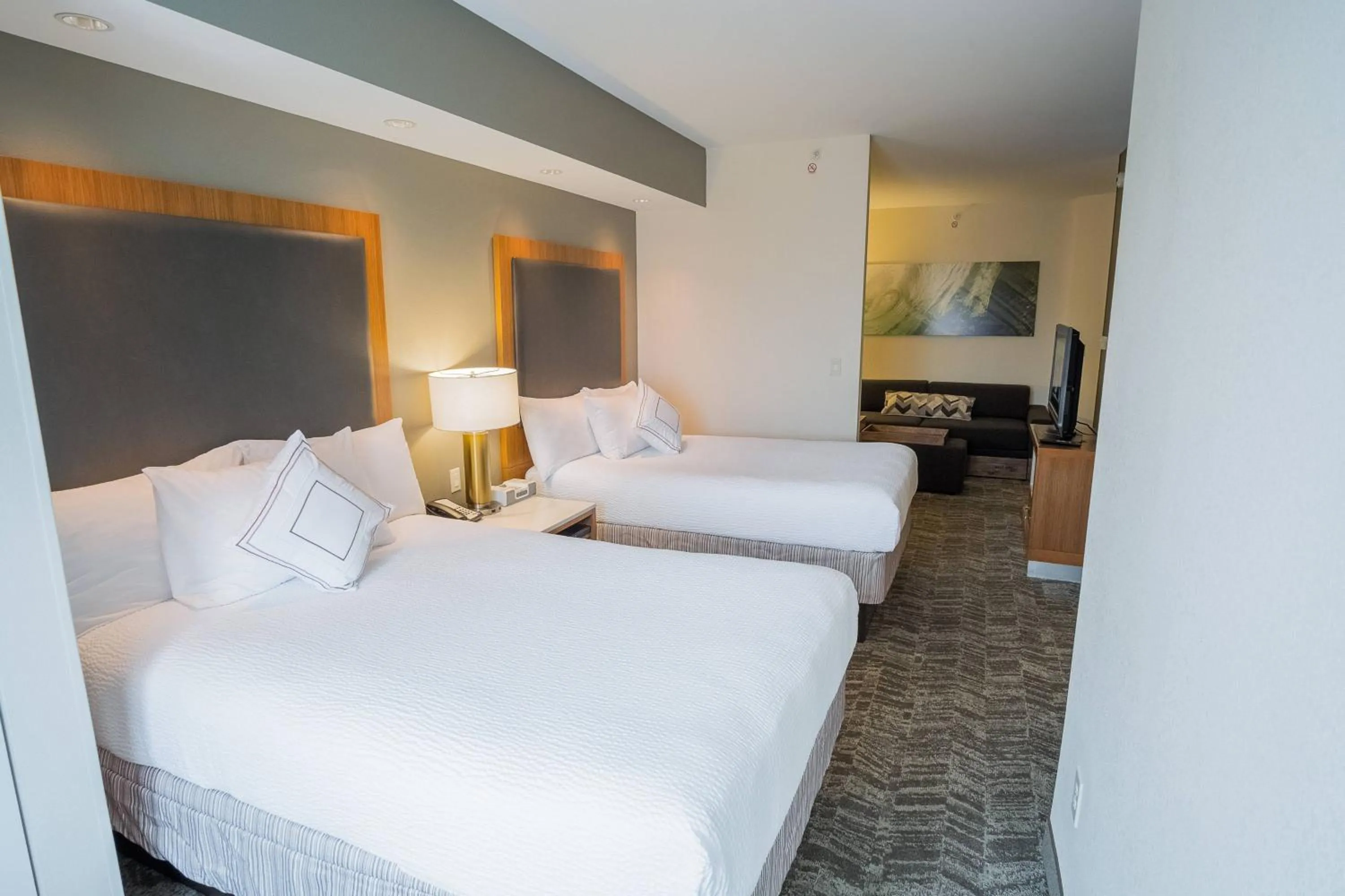 Photo of the whole room, Bed in SpringHill Suites by Marriott Winston-Salem Hanes Mall