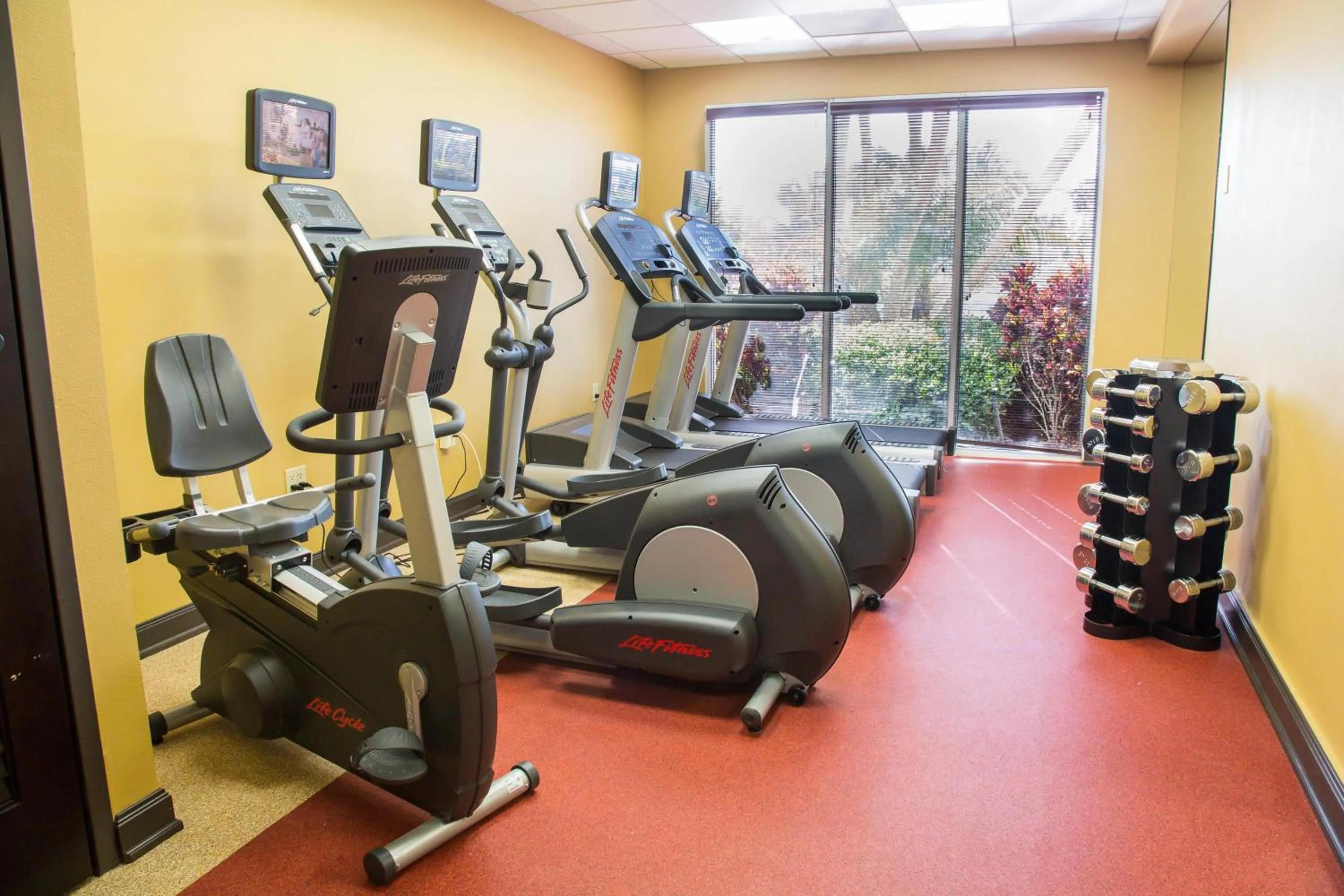 Fitness centre/facilities in The Lucie
