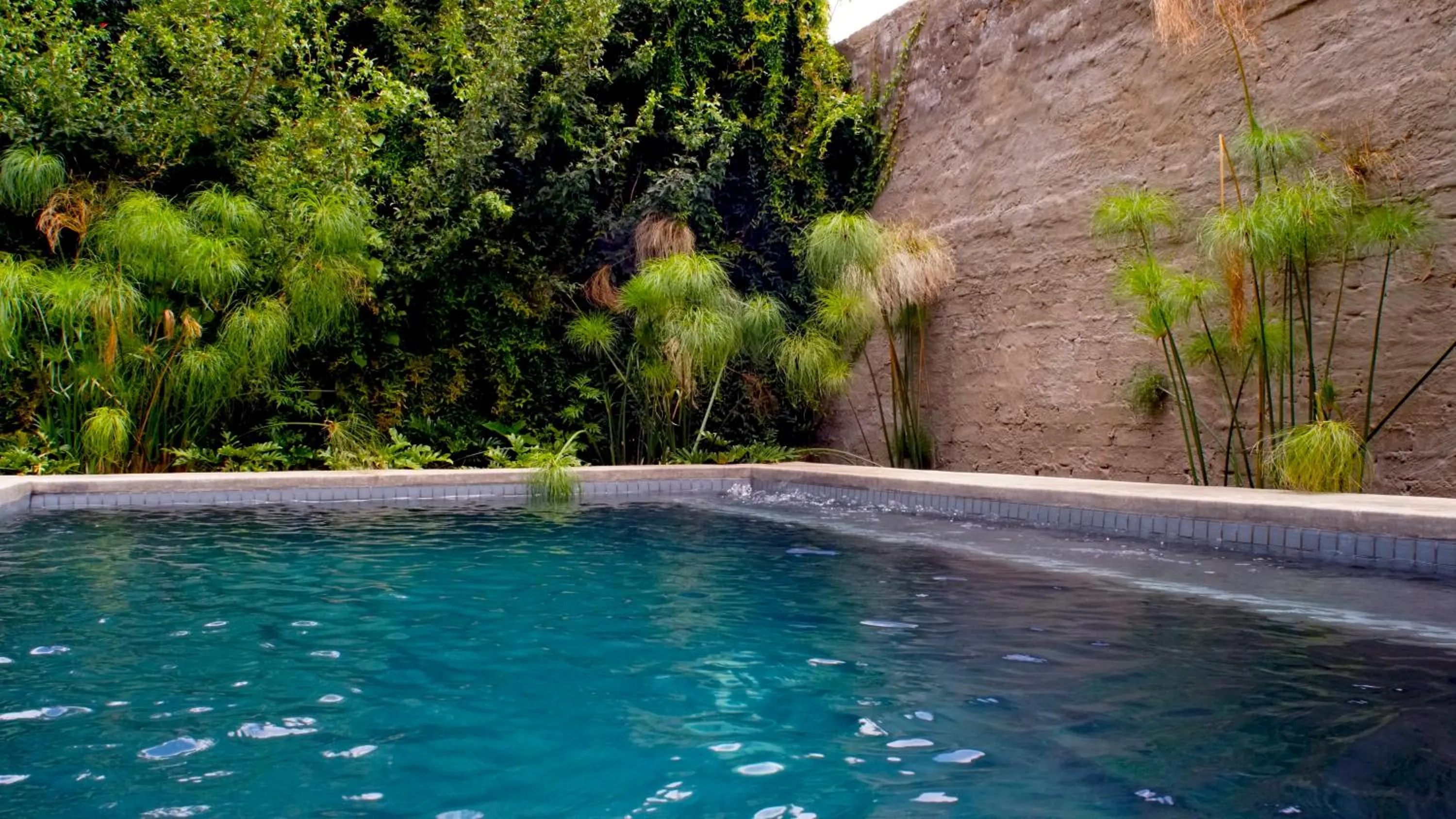 Swimming pool in Pablo House