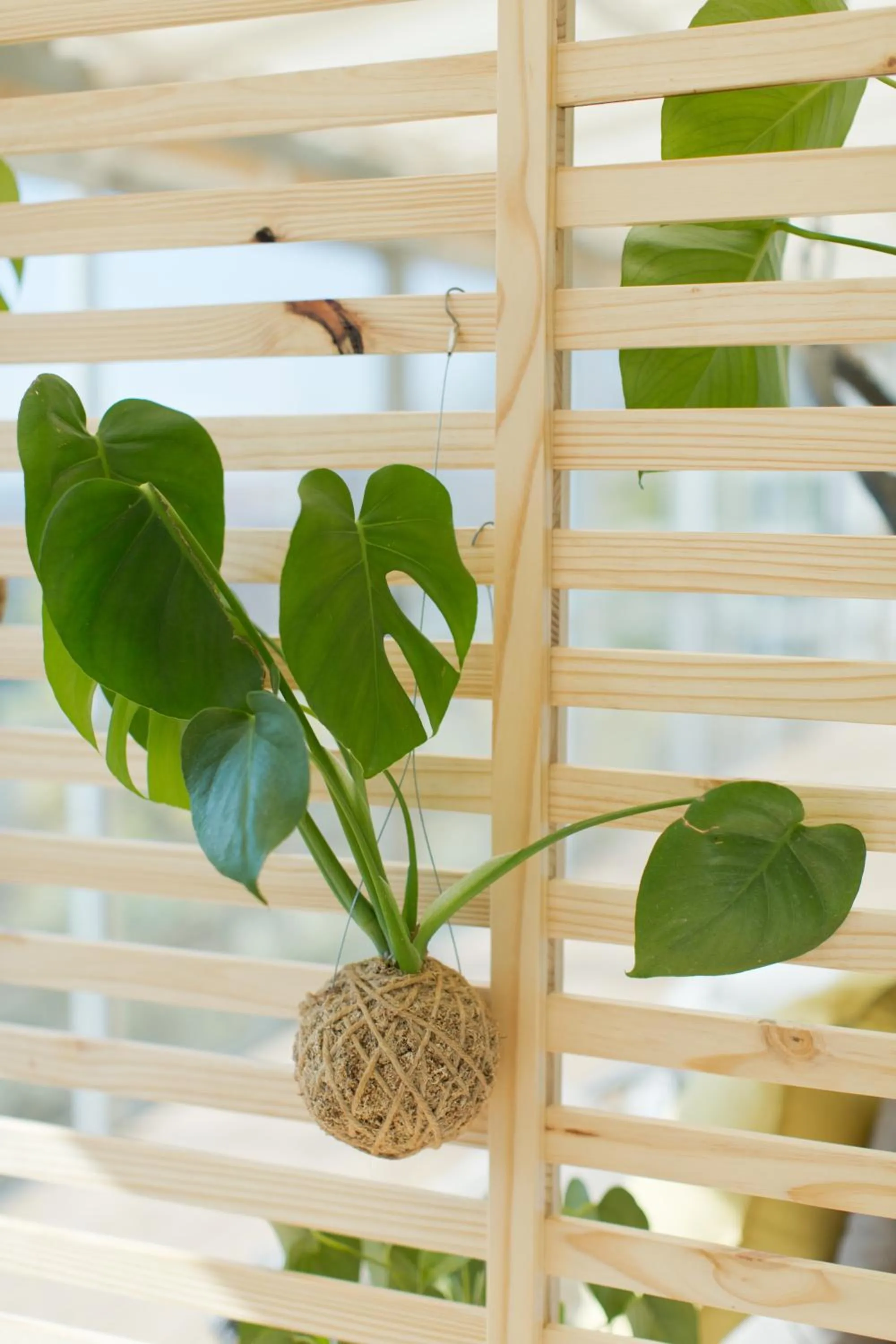 Decorative detail in Pablo House