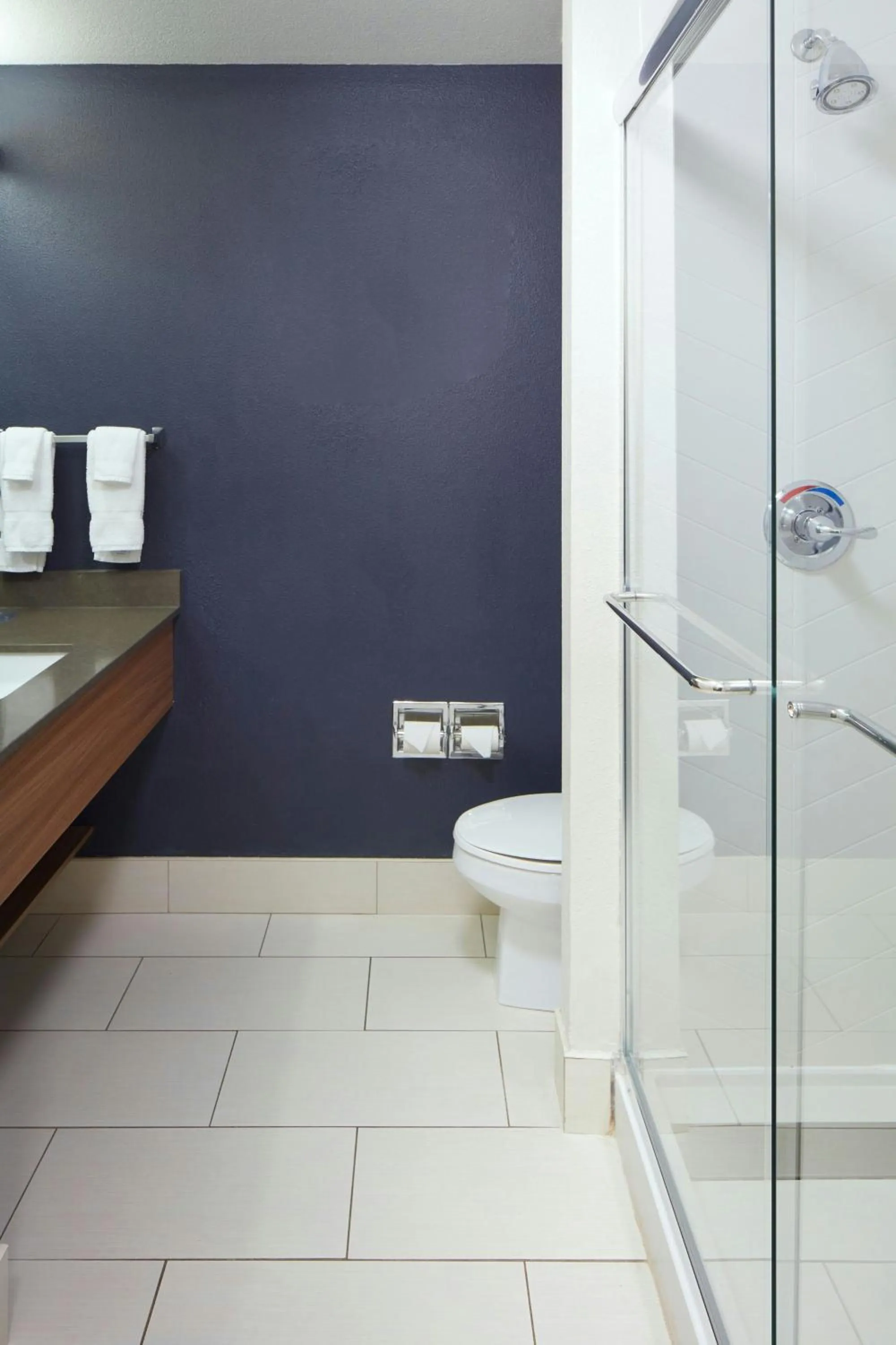 Bathroom in Fairfield by Marriott Frankfort