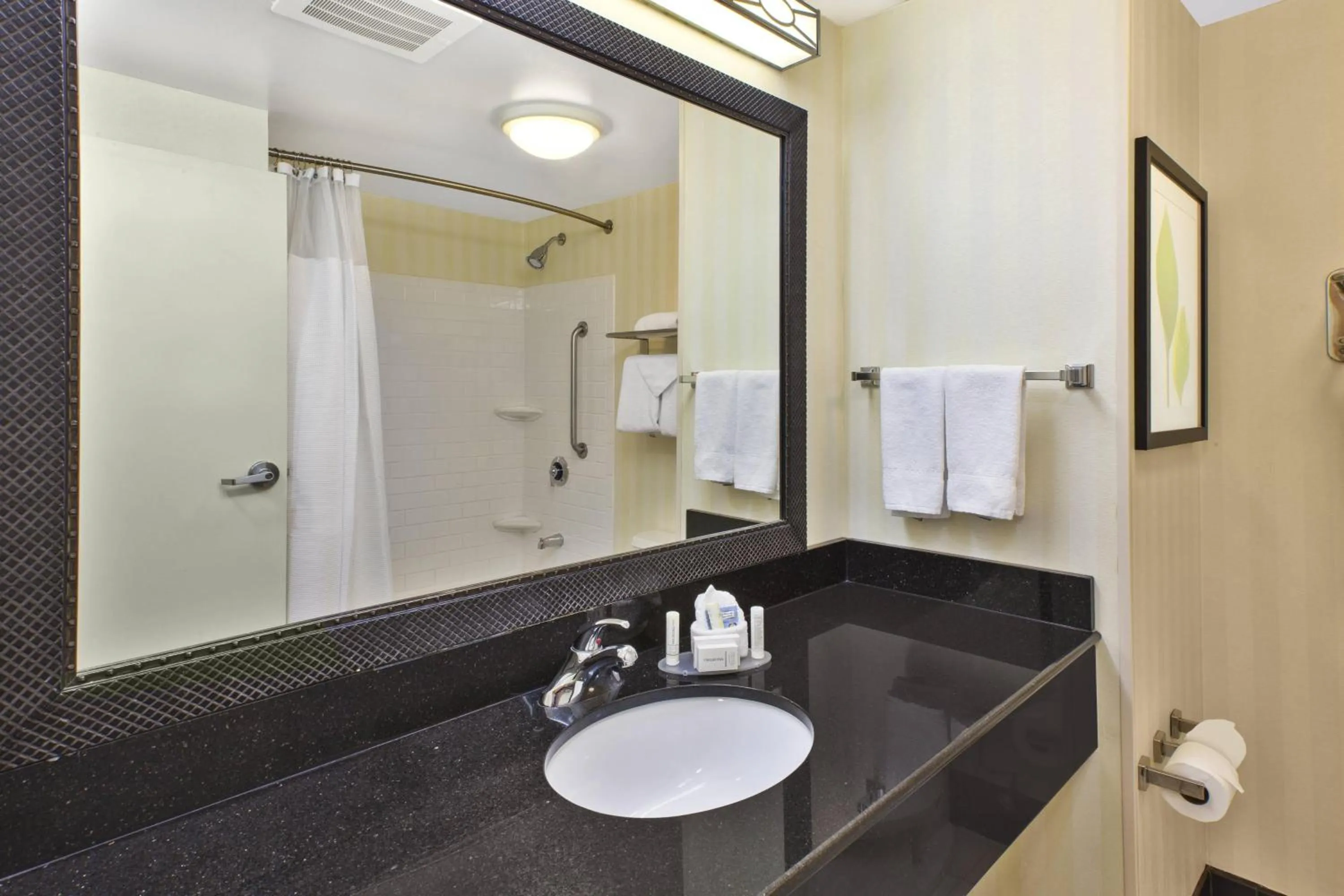 Bathroom in Fairfield Inn & Suites by Marriott Lexington North