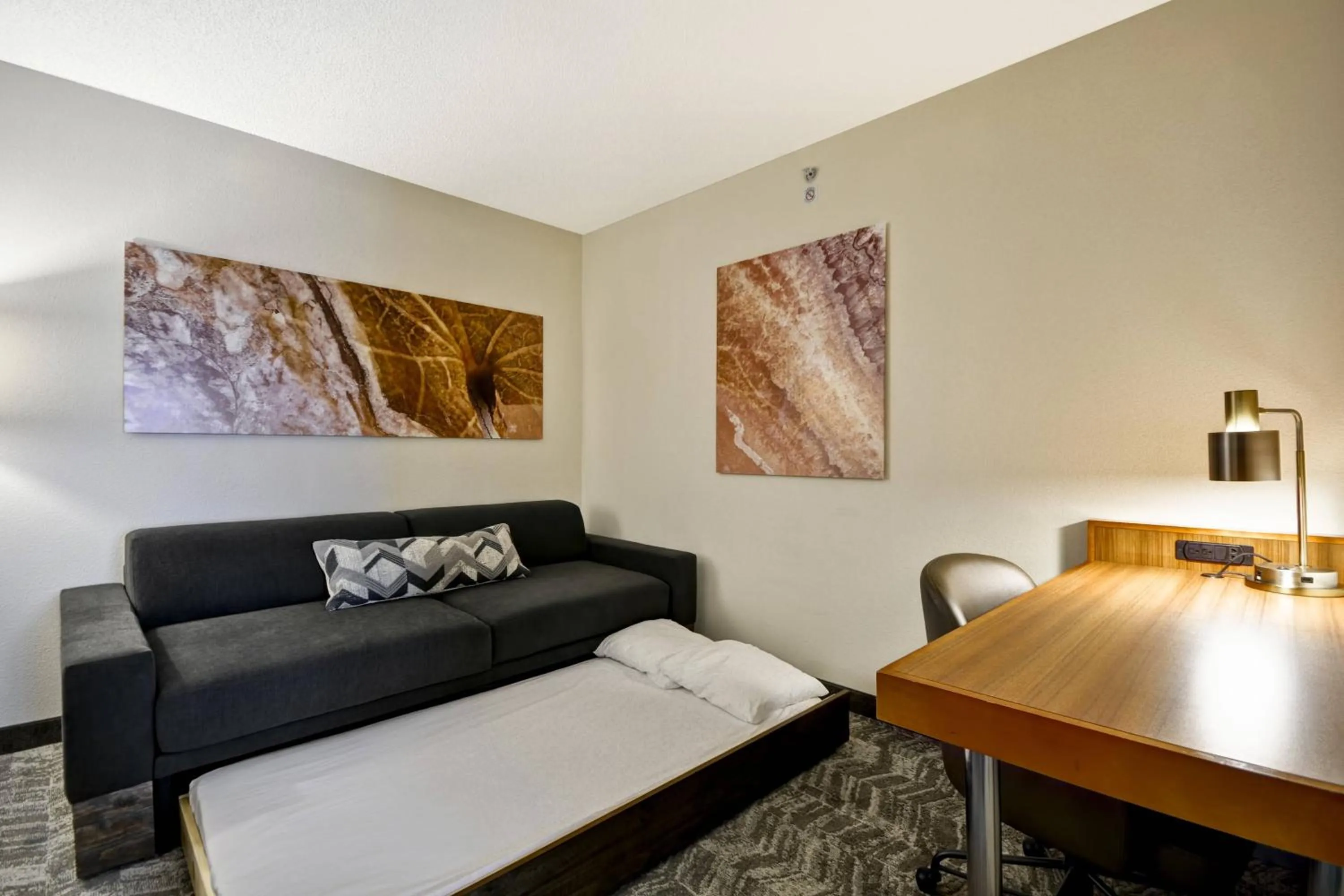 Photo of the whole room, Bed in SpringHill Suites Lexington Near the University of Kentucky