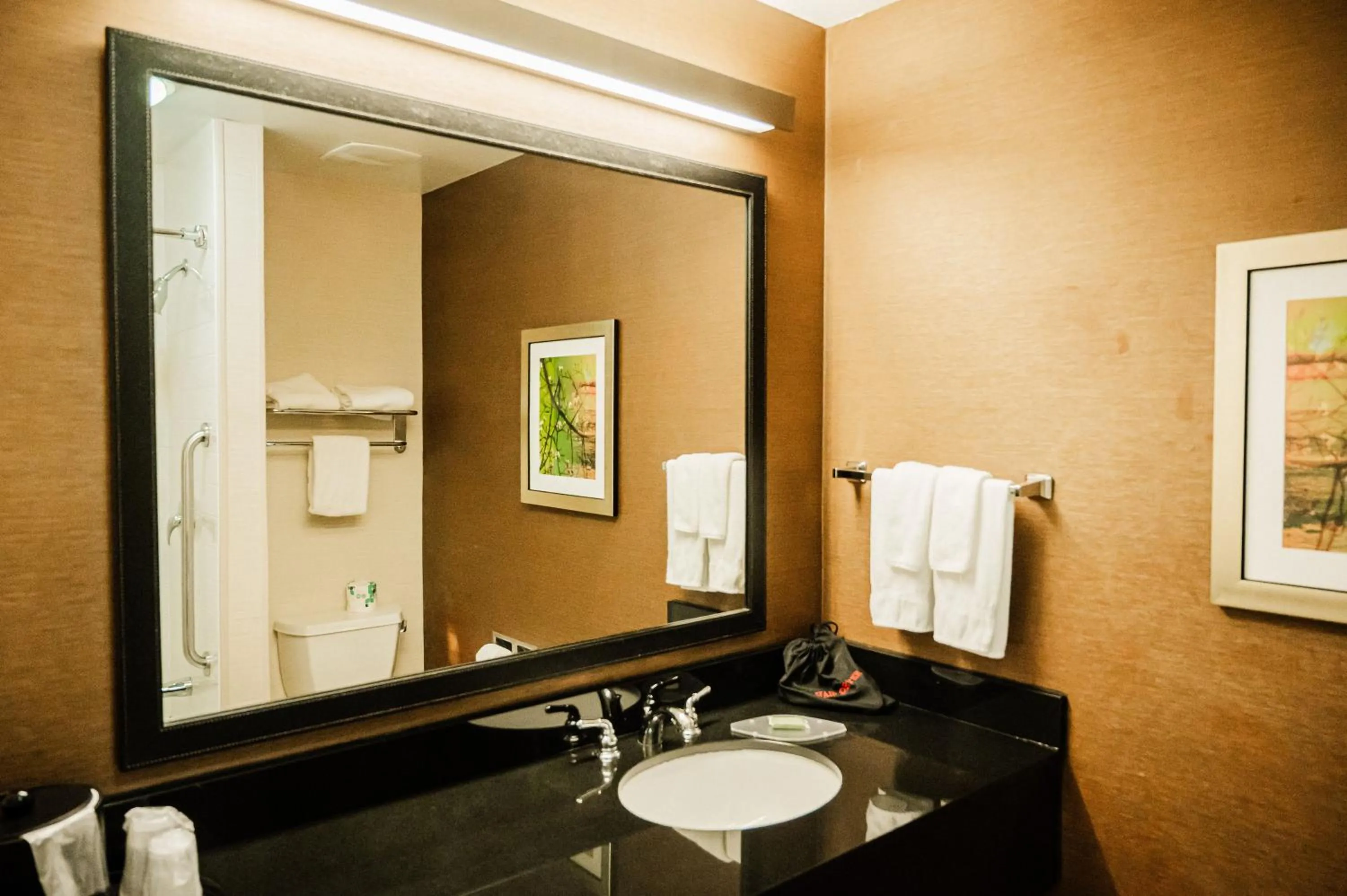Bathroom in Fairfield by Marriott Russellville