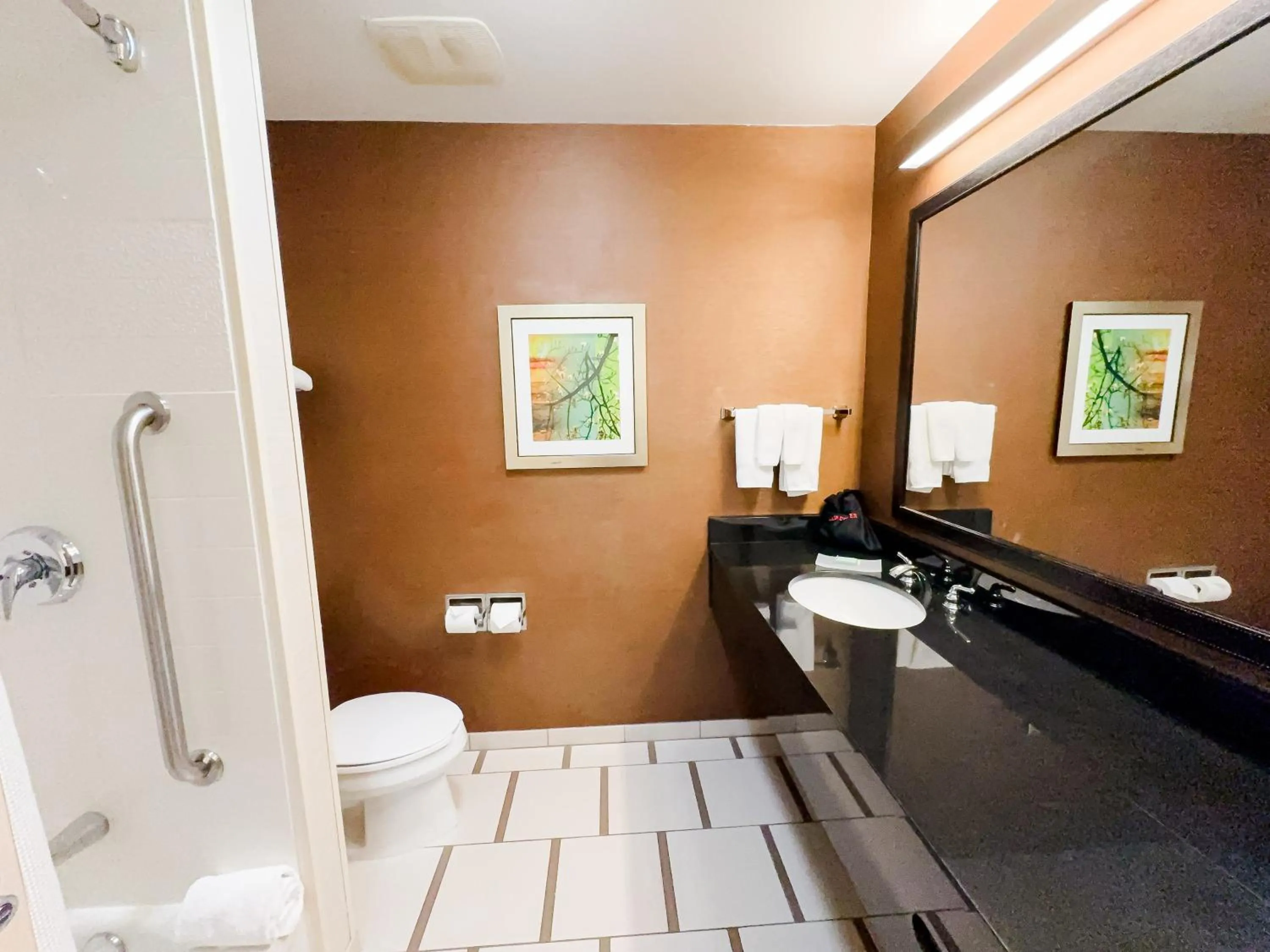 Toilet in Fairfield by Marriott Russellville