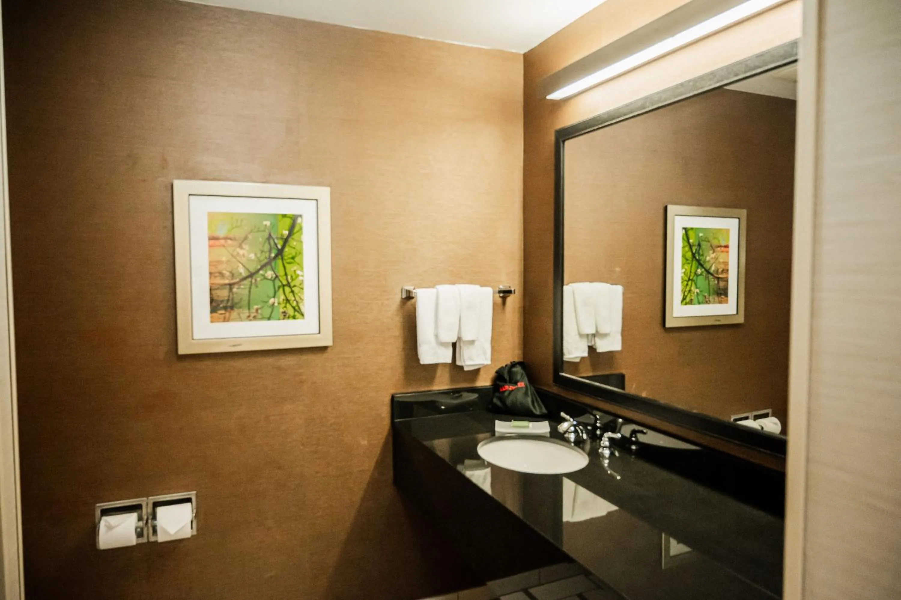 Bathroom in Fairfield by Marriott Russellville