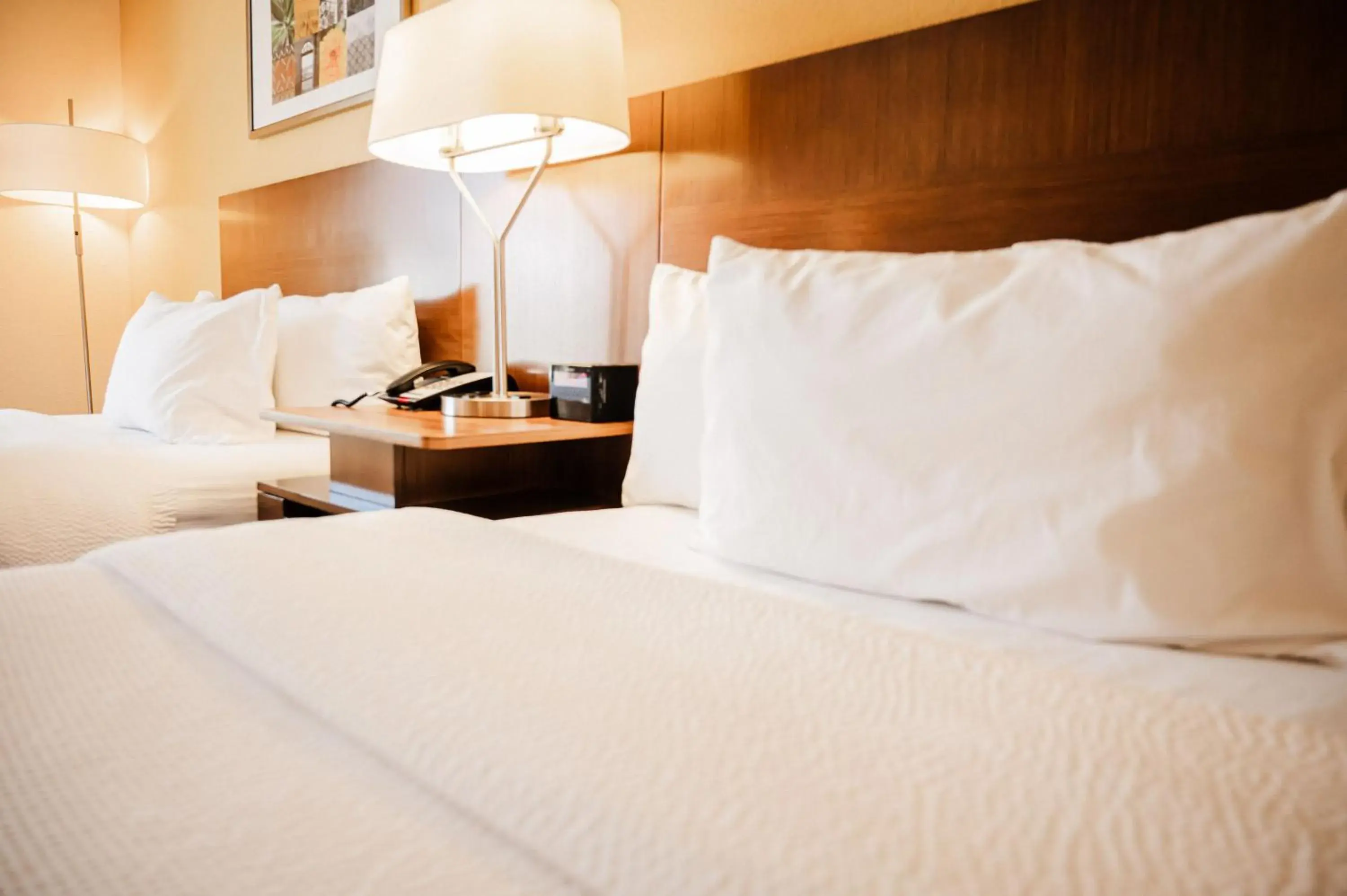 Double Room with Two Double Beds in Fairfield by Marriott Russellville Double Room with Two Double Beds in Fairfield by Marriott Russellville