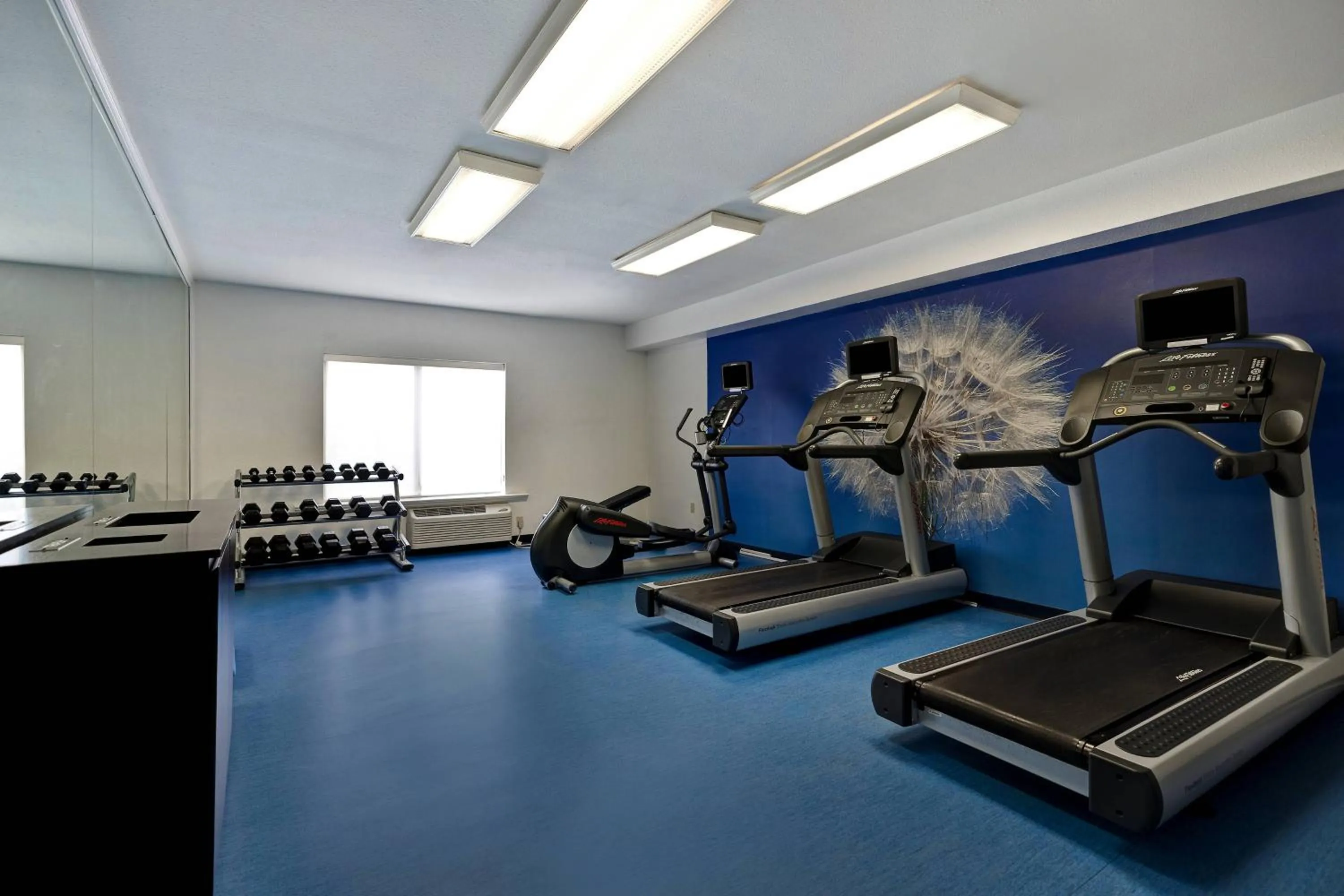 Fitness centre/facilities in SpringHill Suites by Marriott Las Cruces