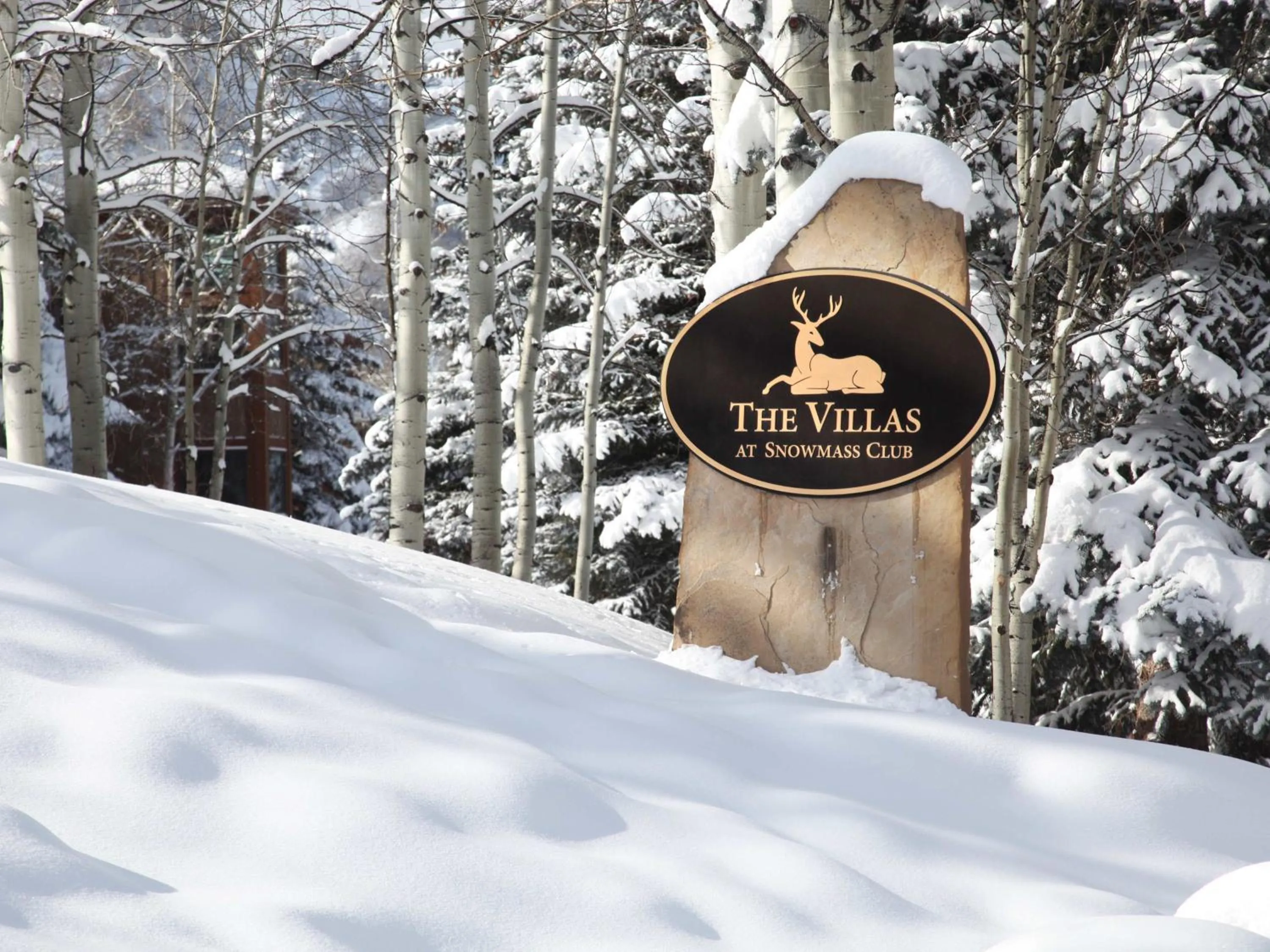 Villas at Snowmass CLub