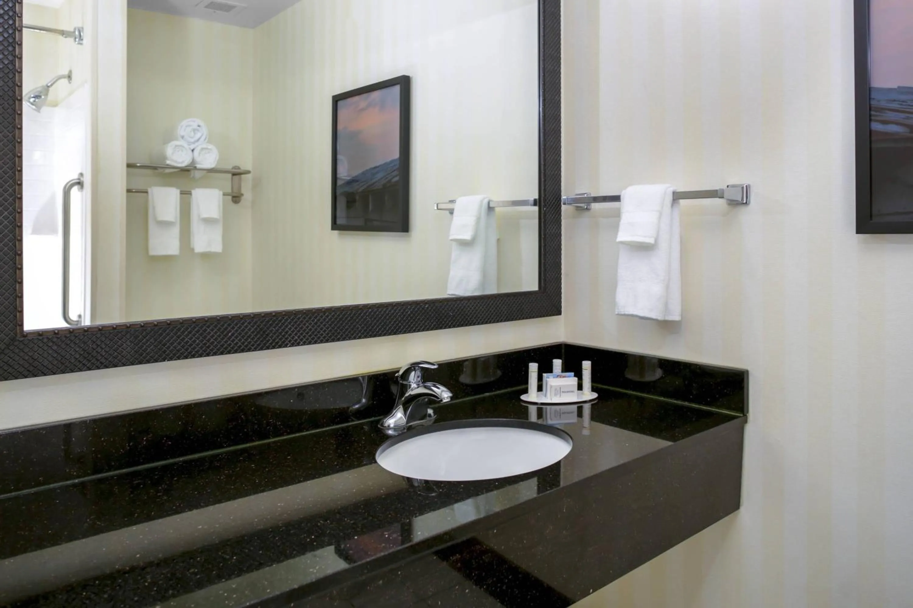 Bathroom in Fairfield Inn & Suites Milledgeville